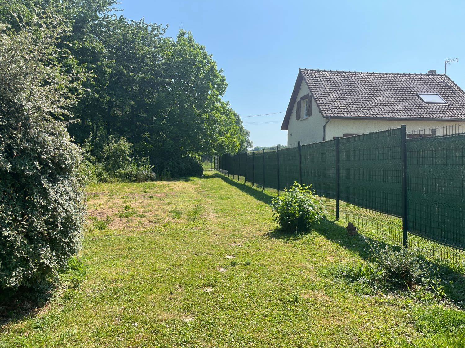 image-11