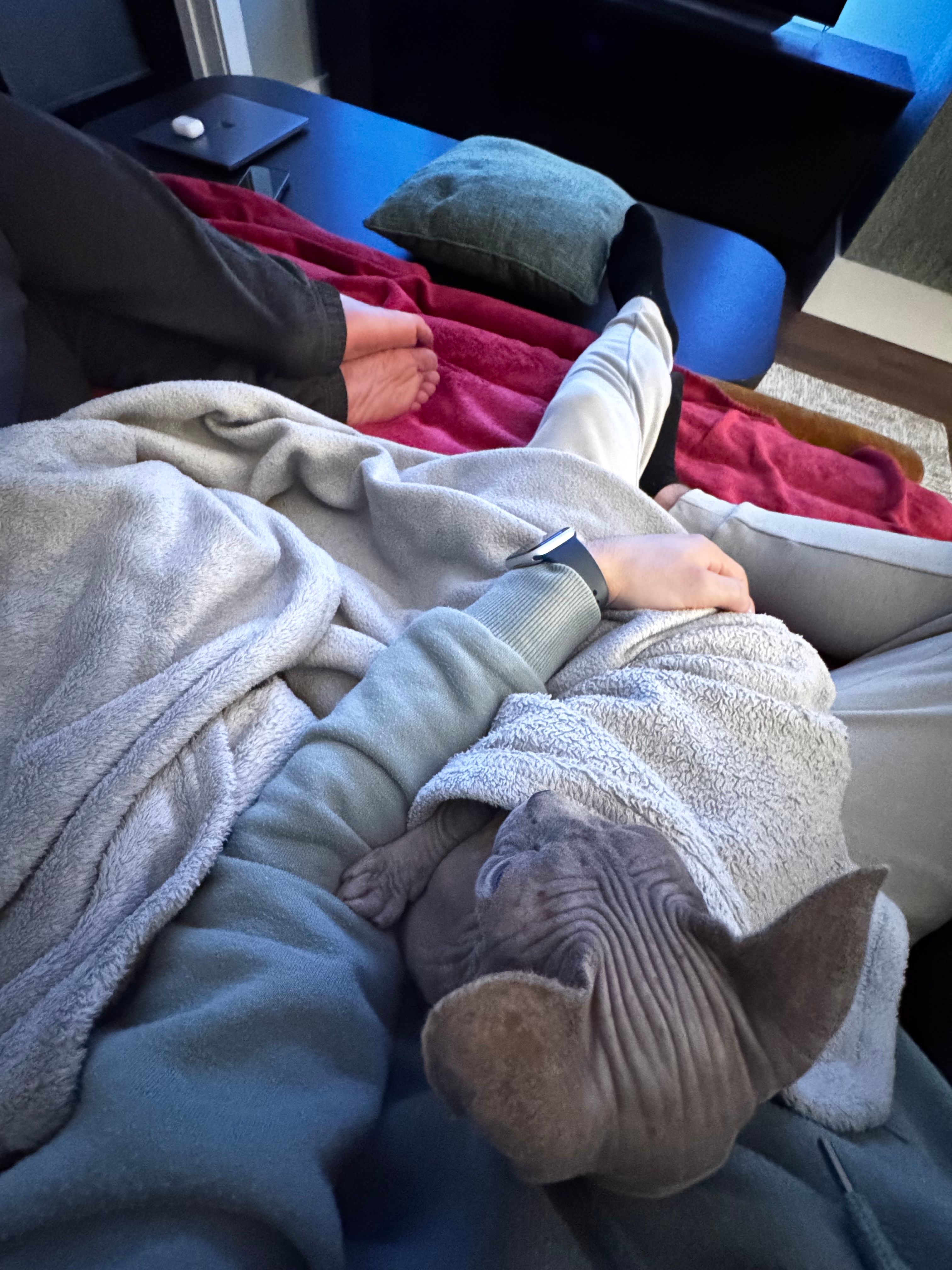 image-6