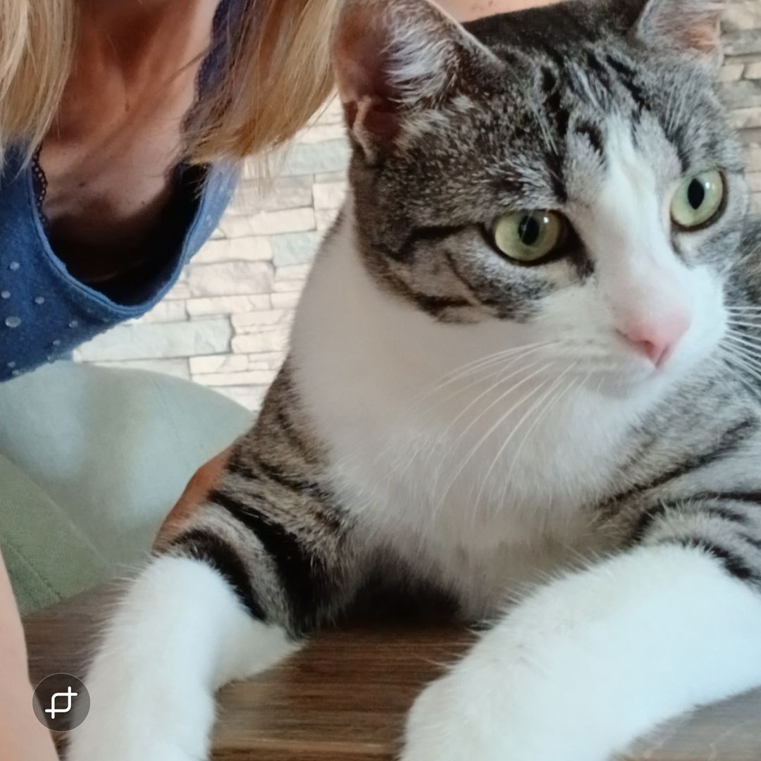 BIRBA E STELLA 