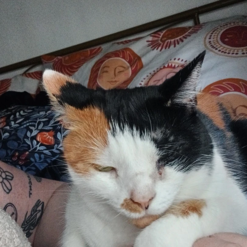 Joni