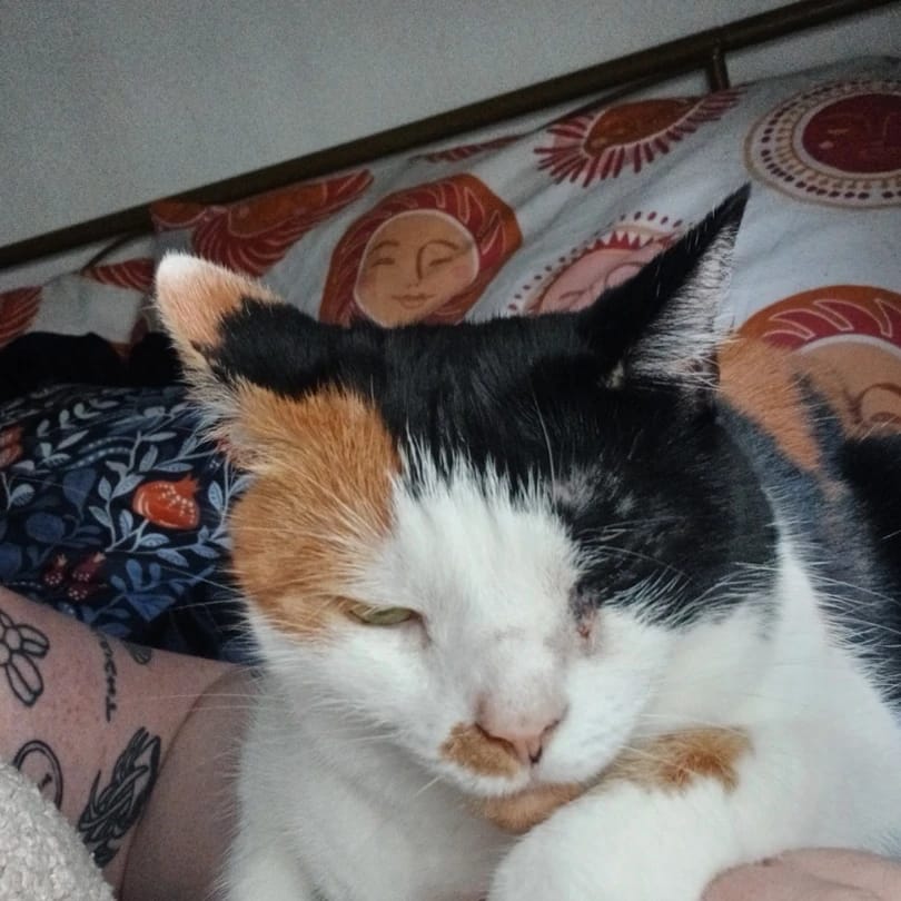 Joni