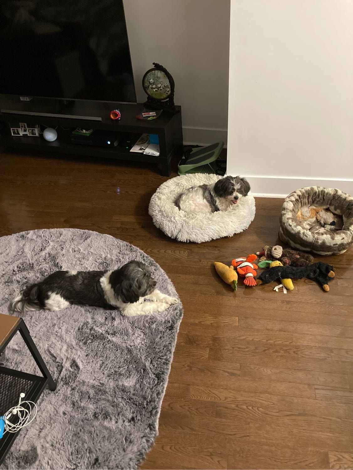 image-14