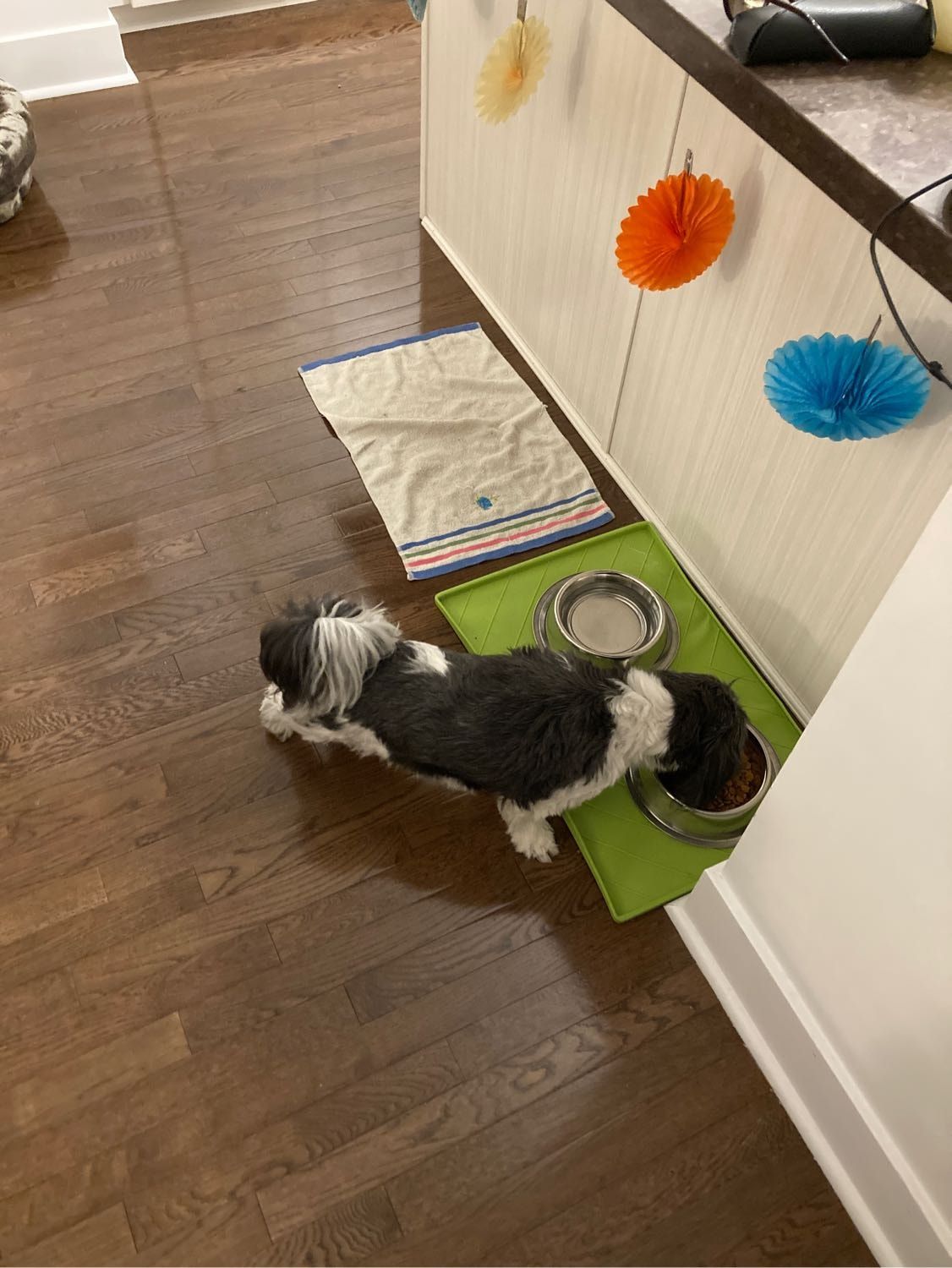 image-13