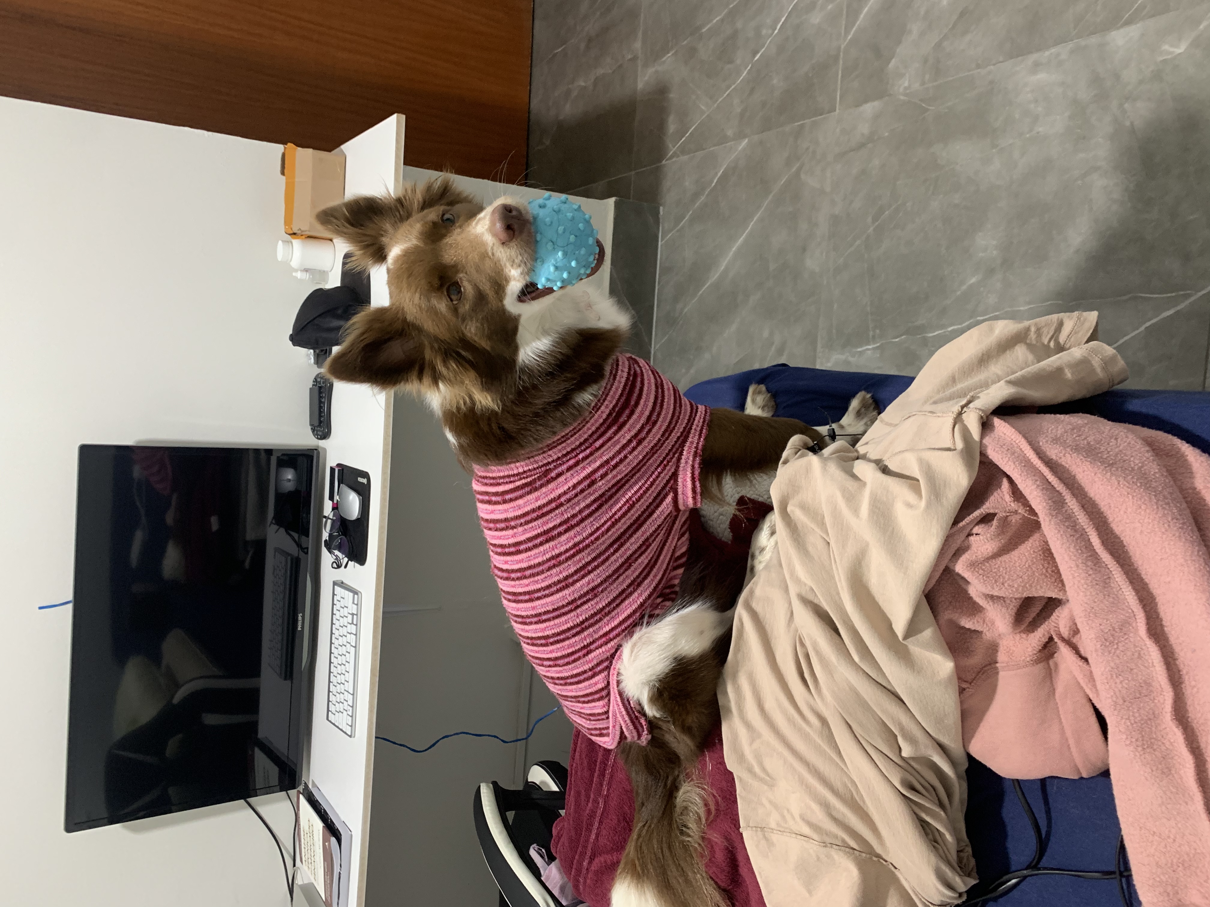 image-13