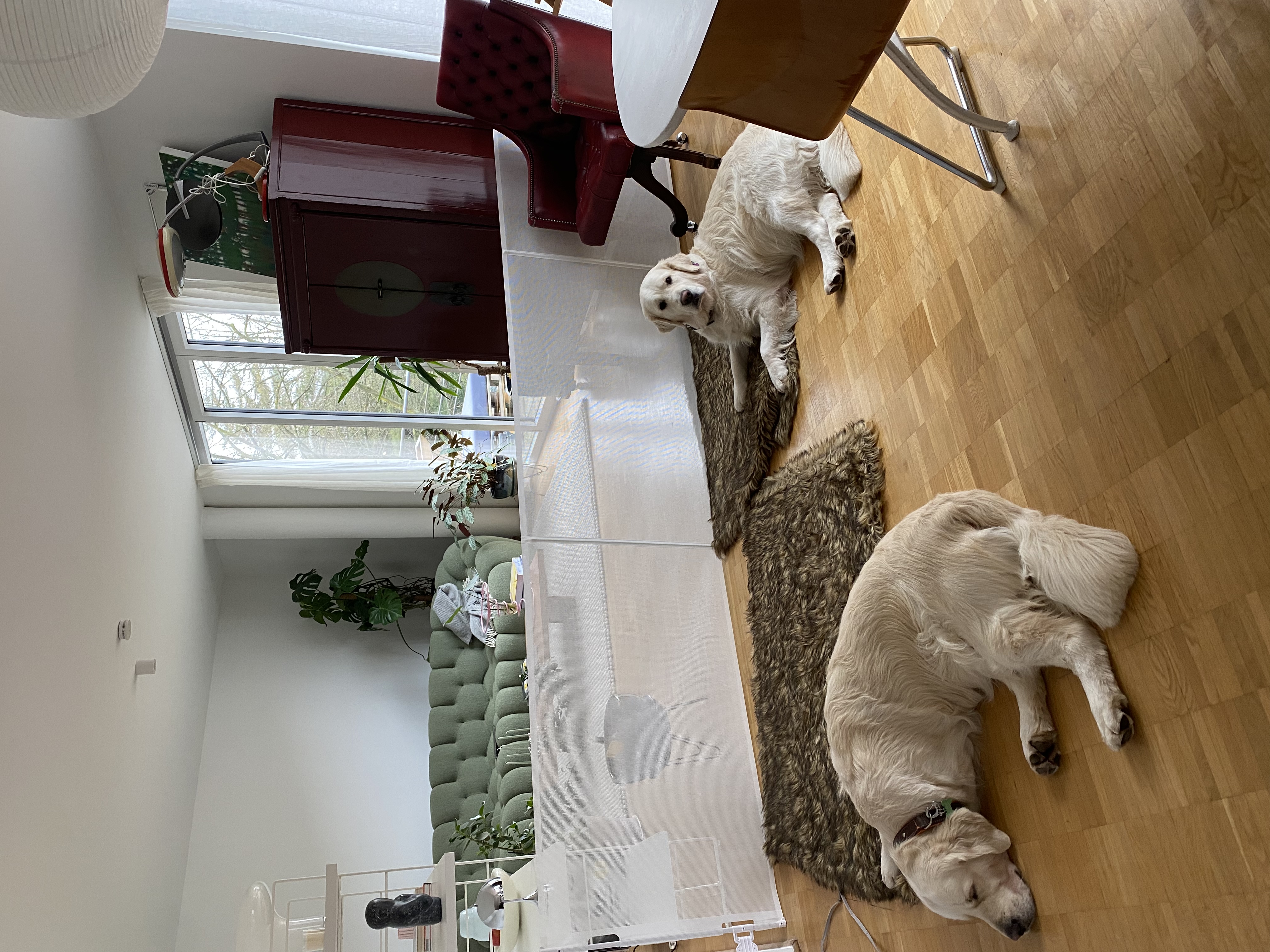 image-17