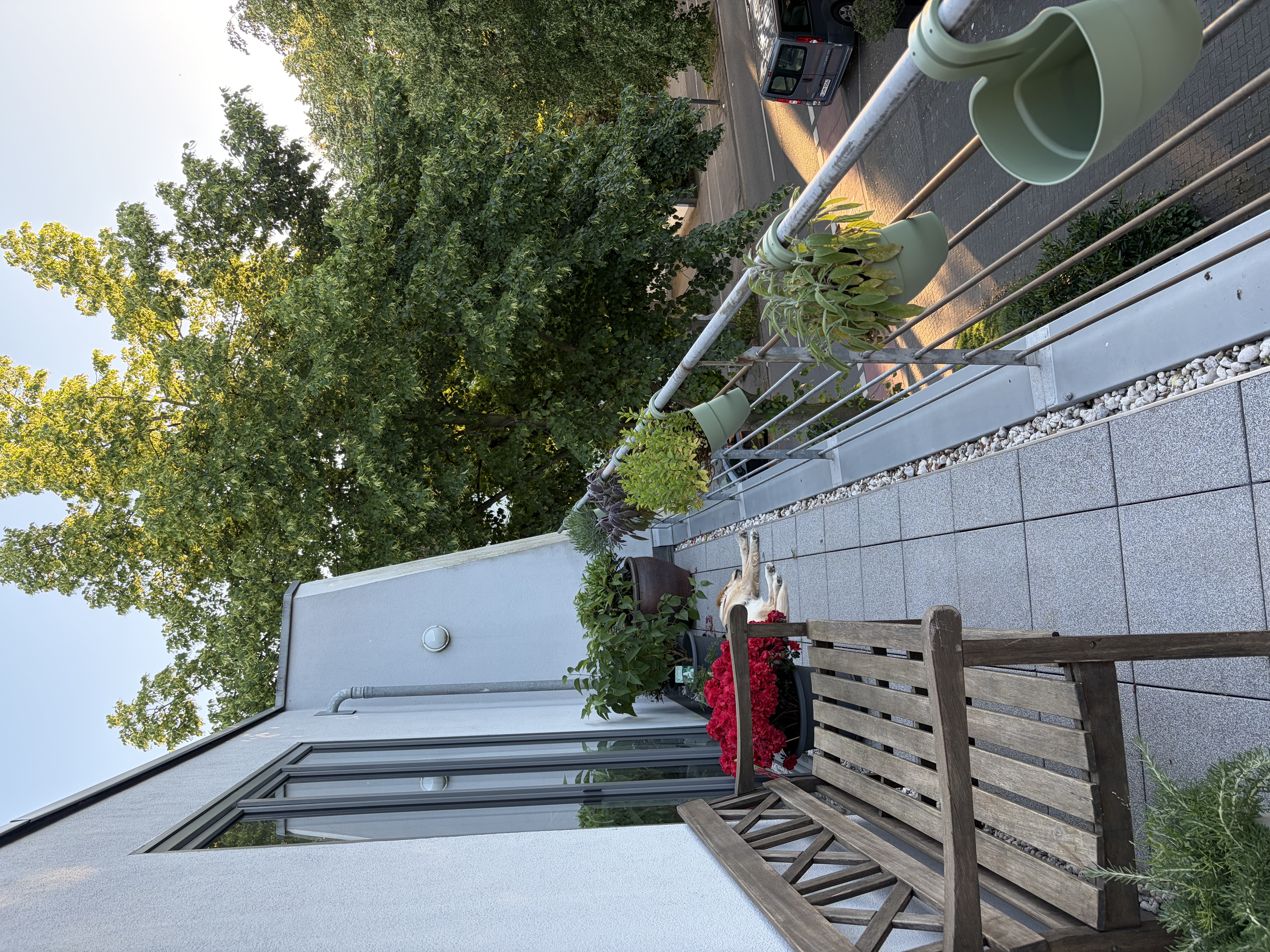 image-20