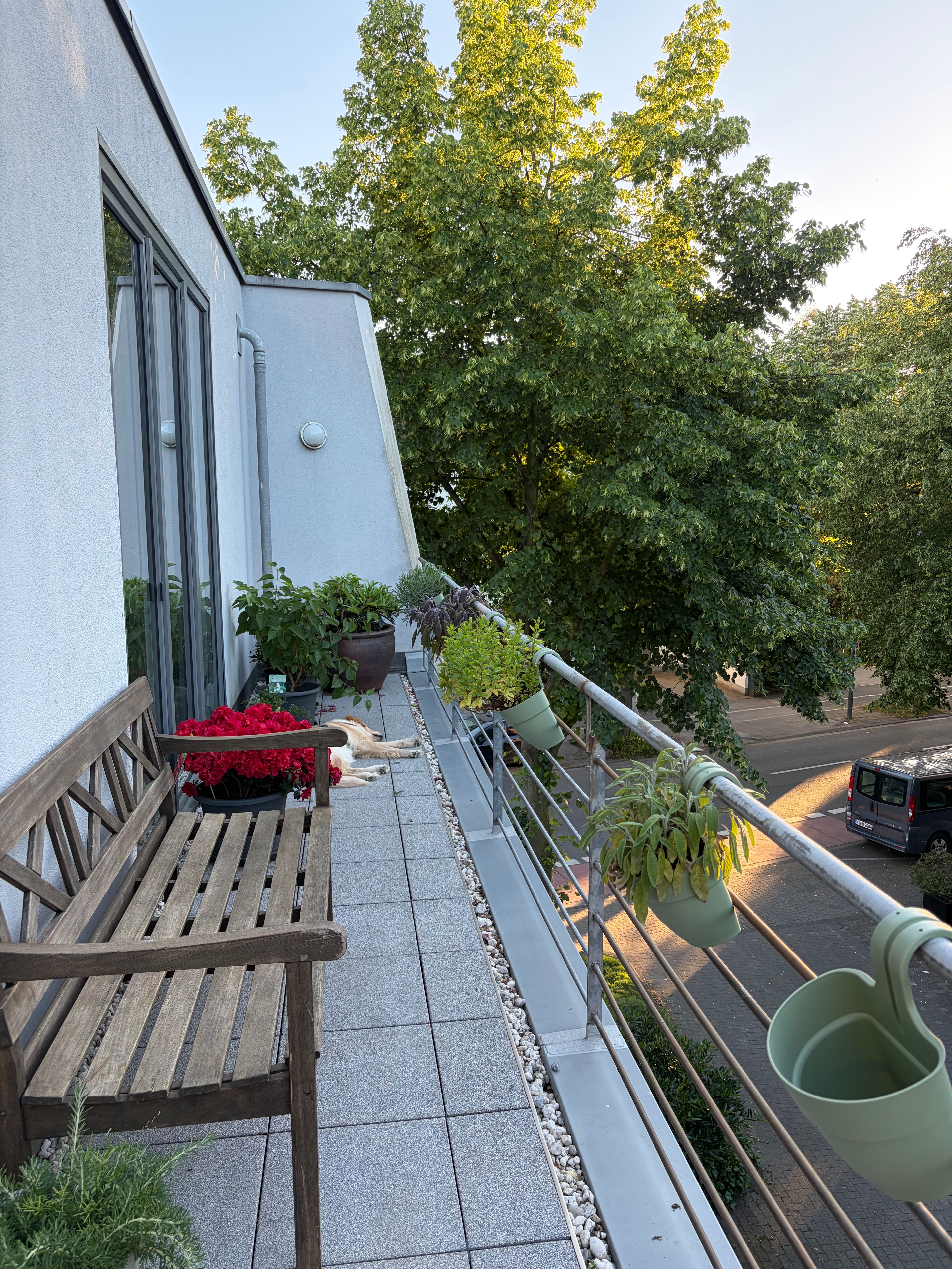 image-20