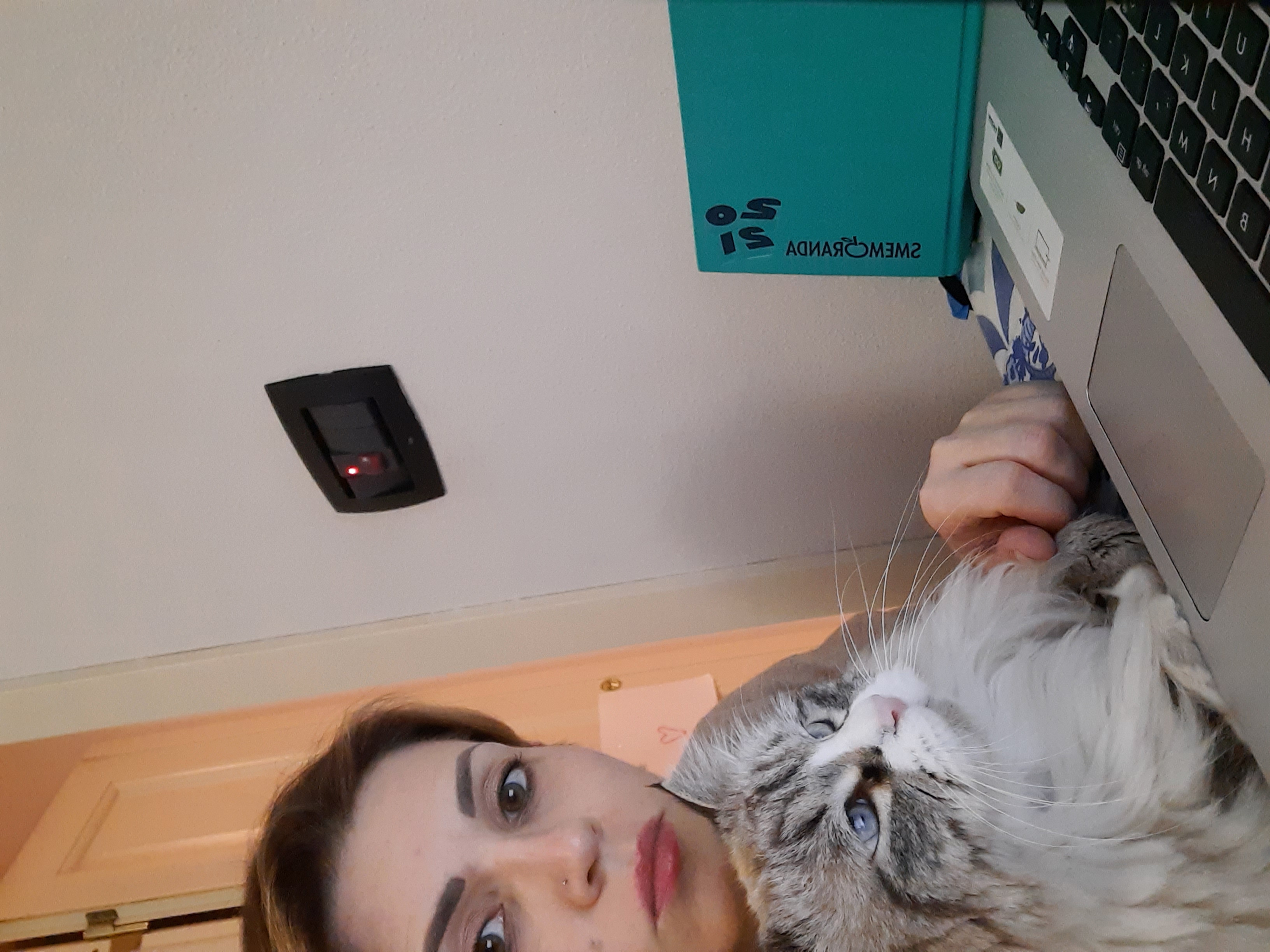 image-6