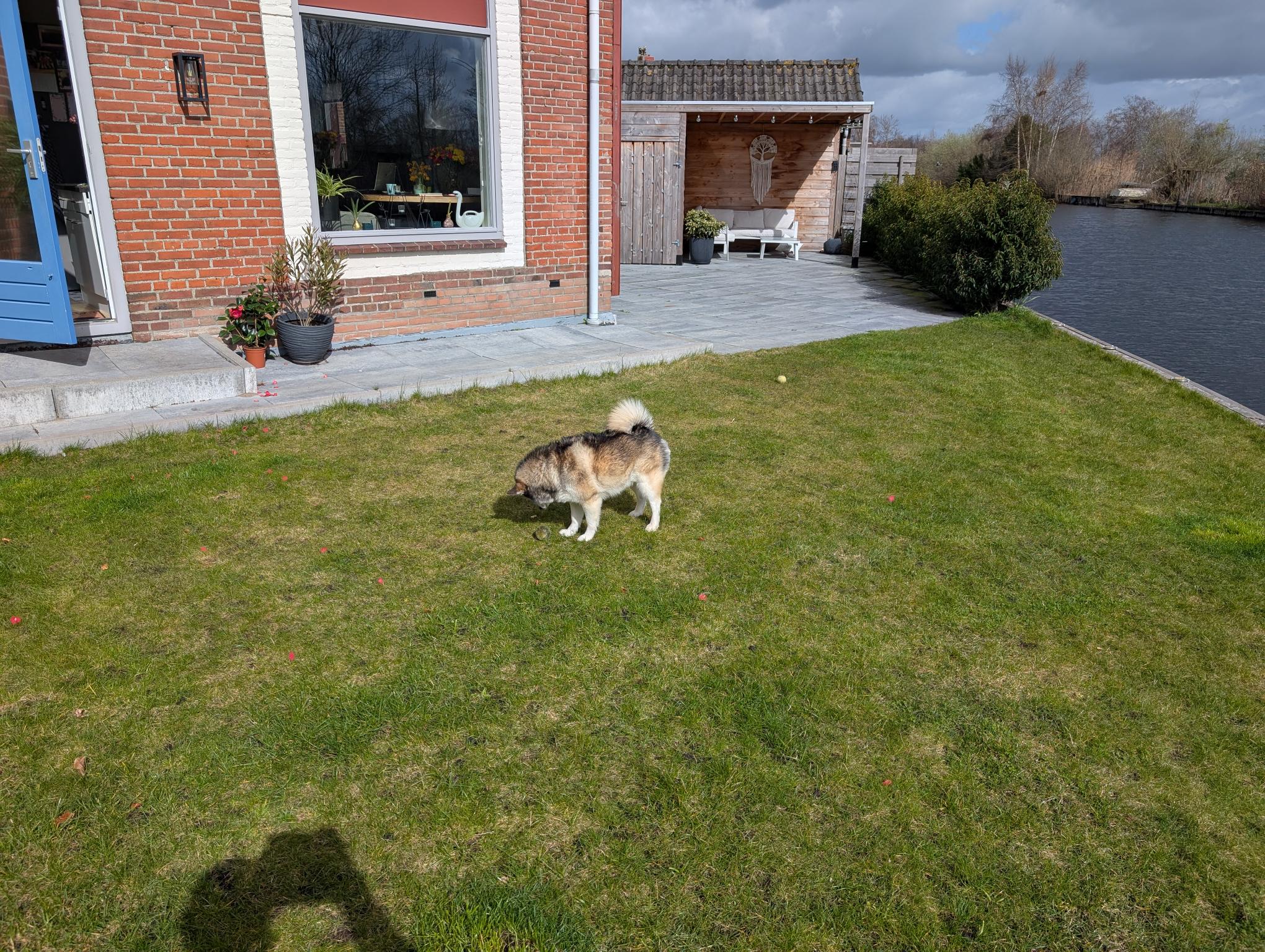 image-5