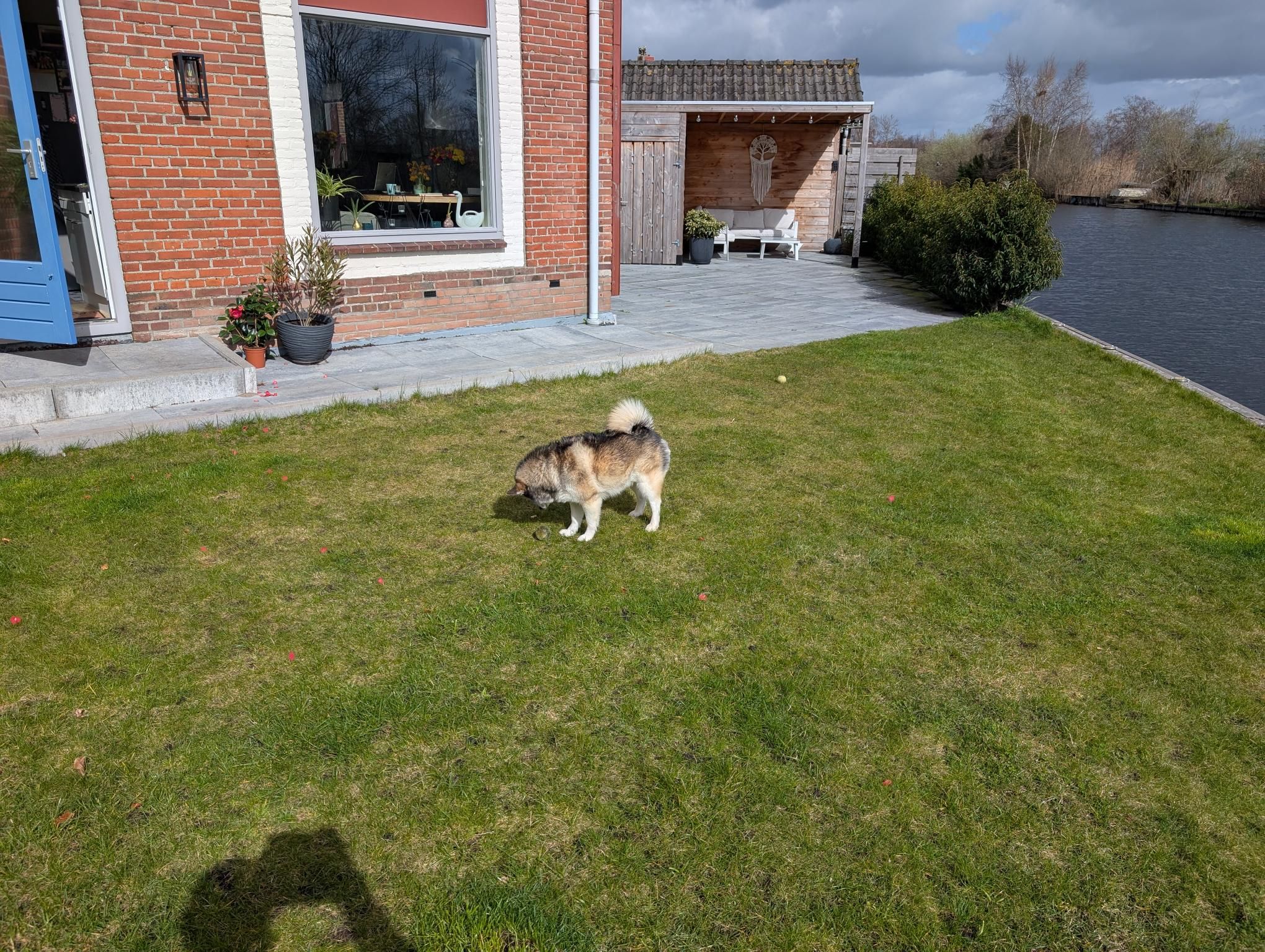 image-5