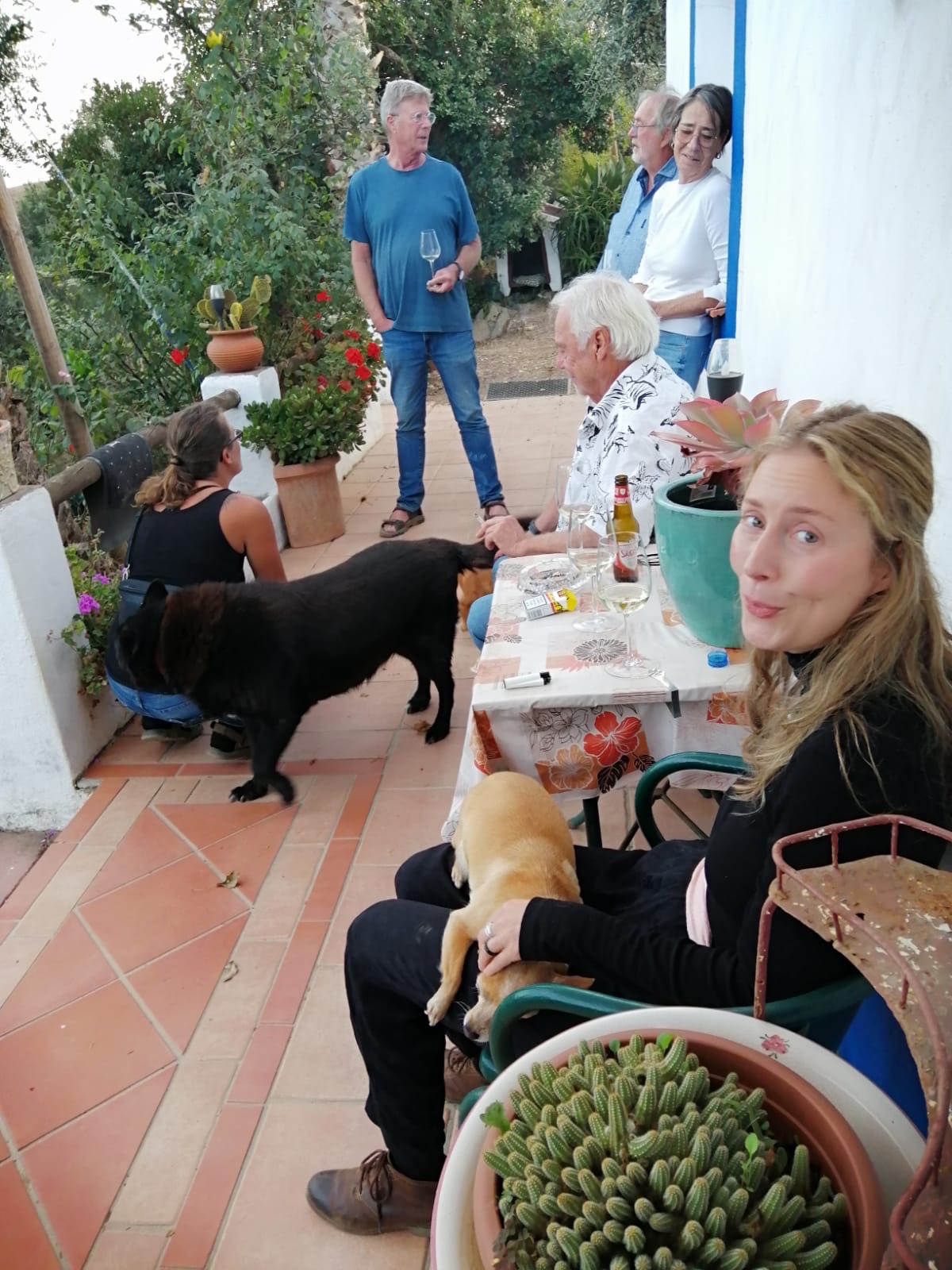 image-3