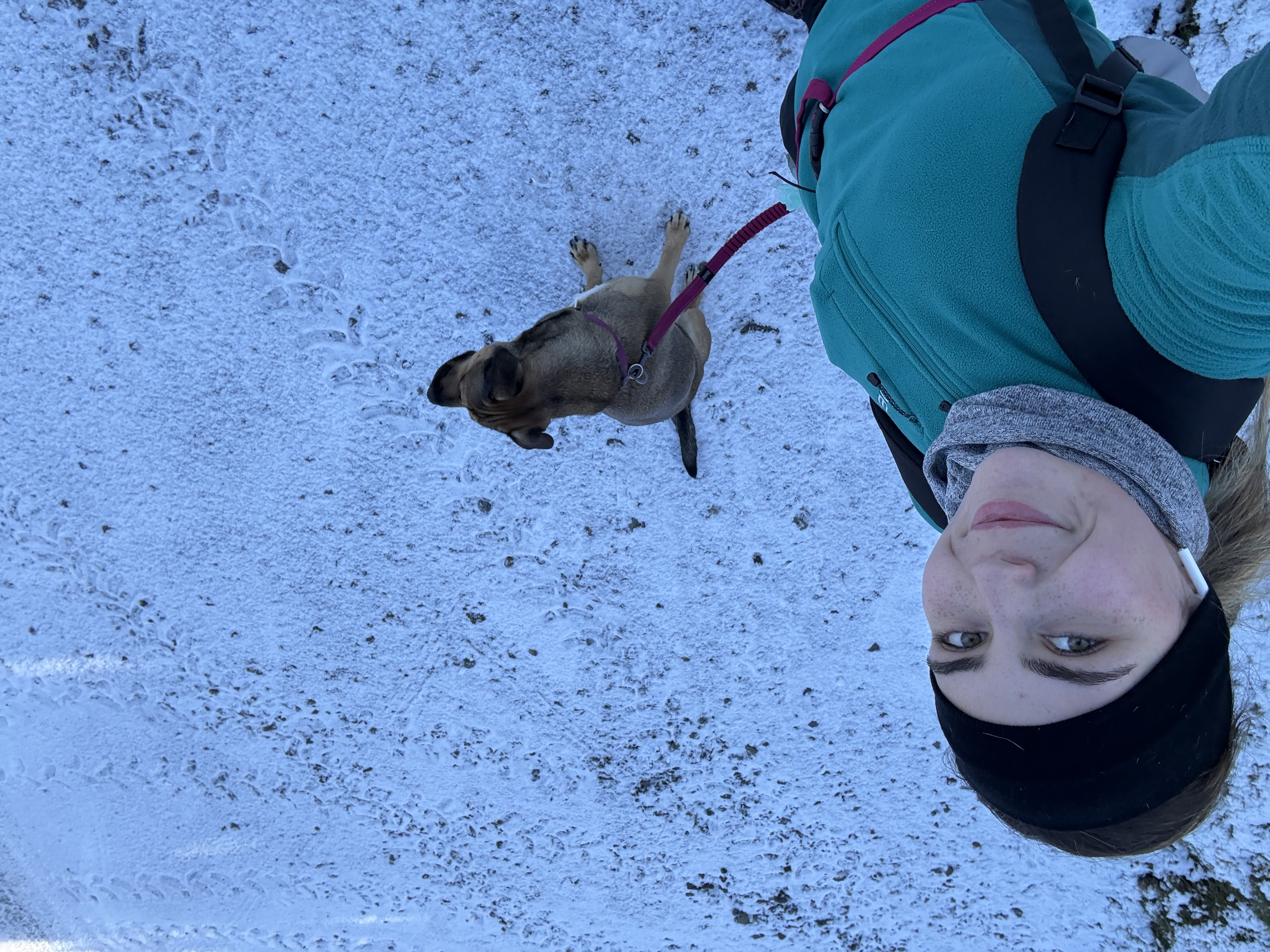 image-6