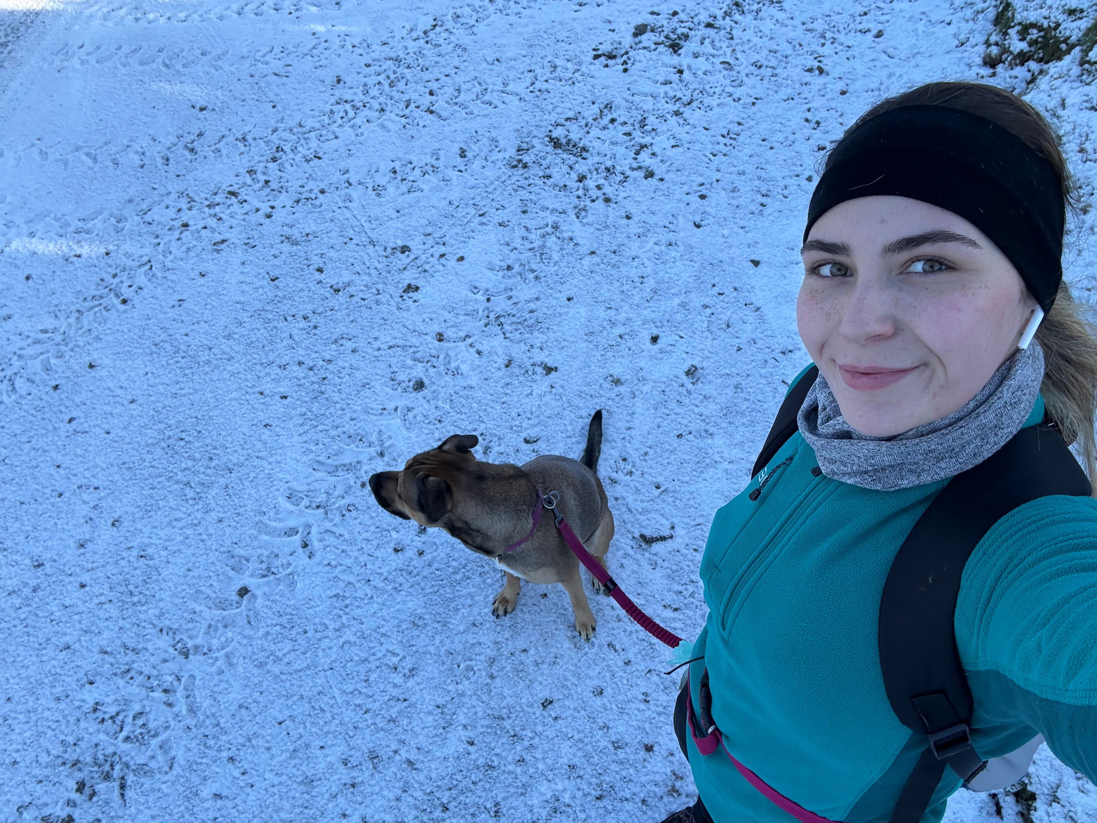 image-6