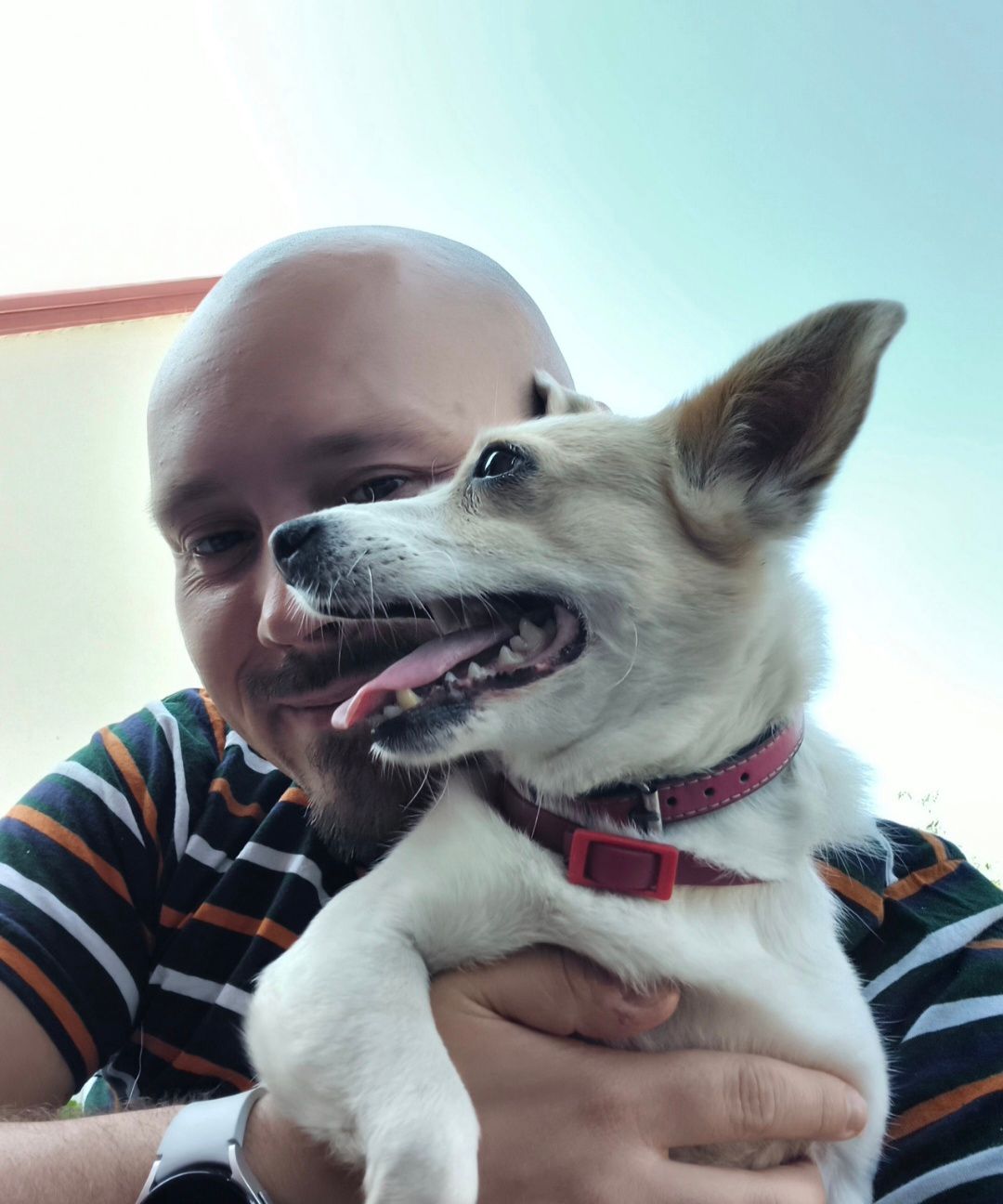 image-8