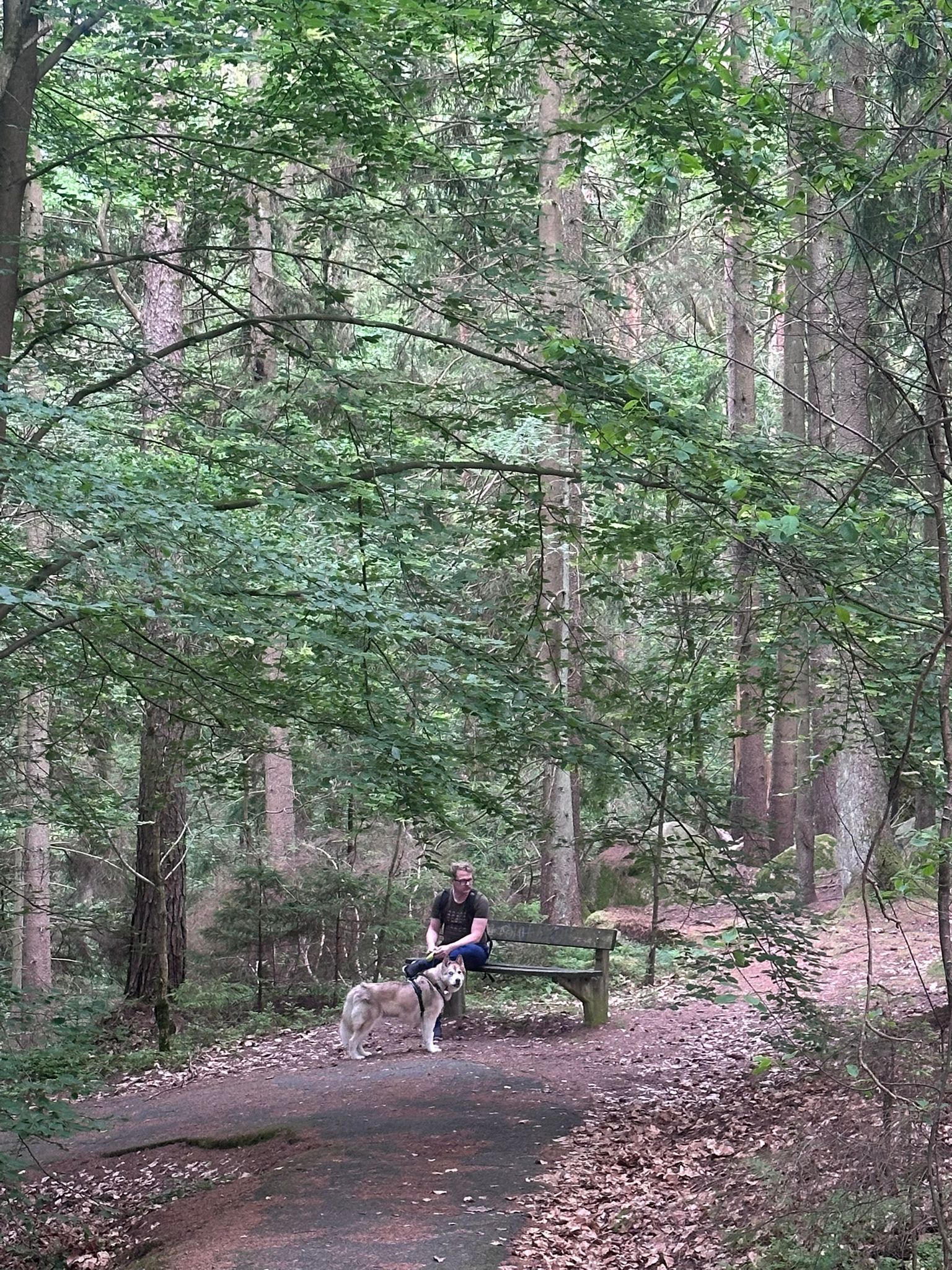 image-5