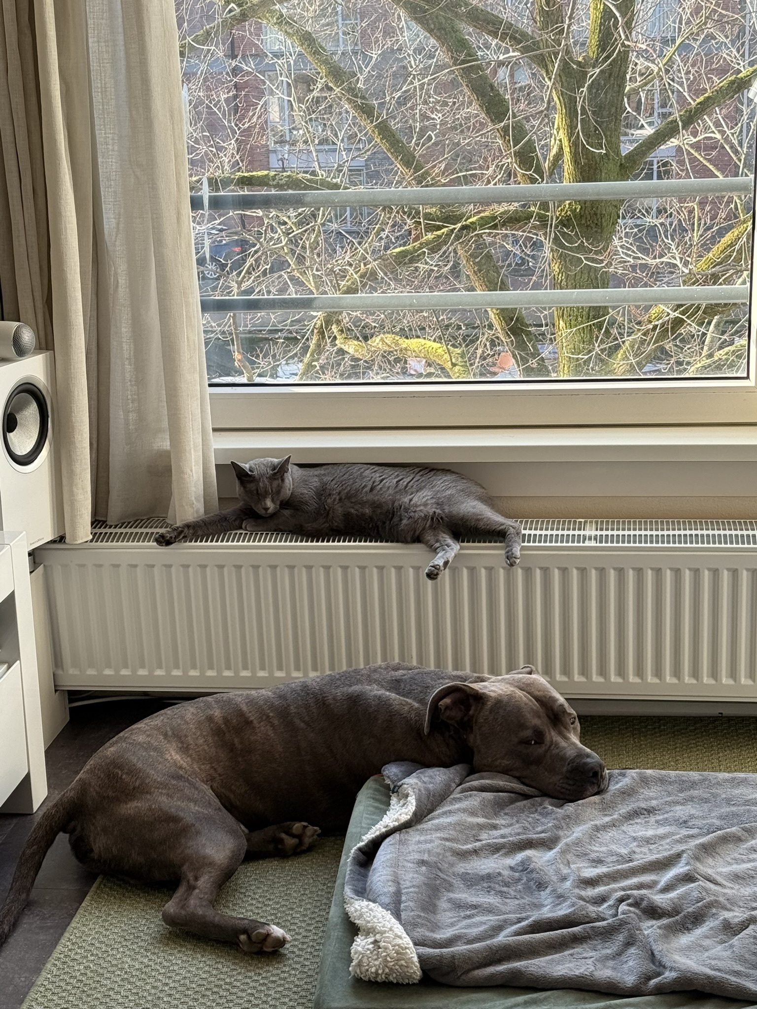 image-18