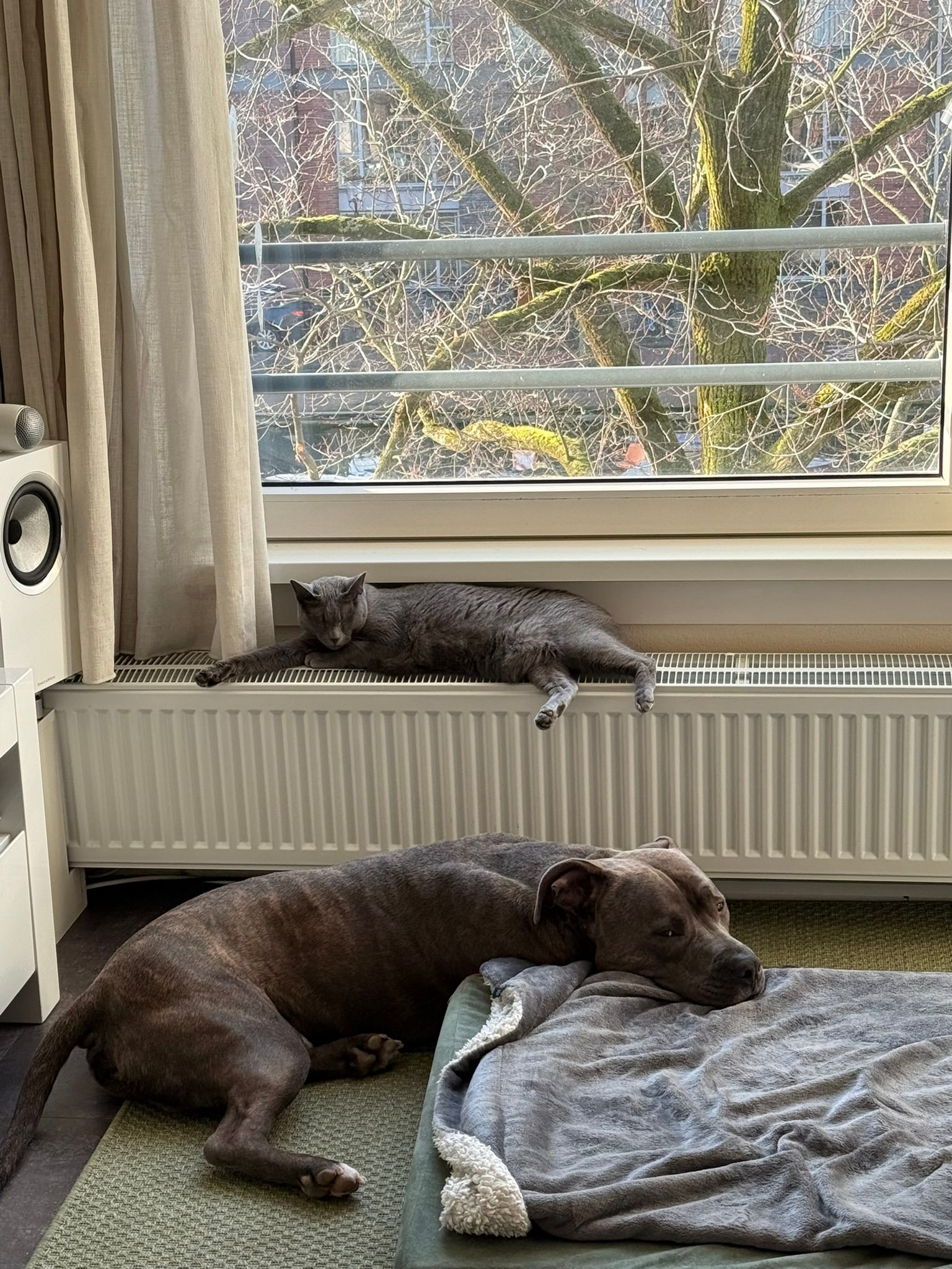 image-18