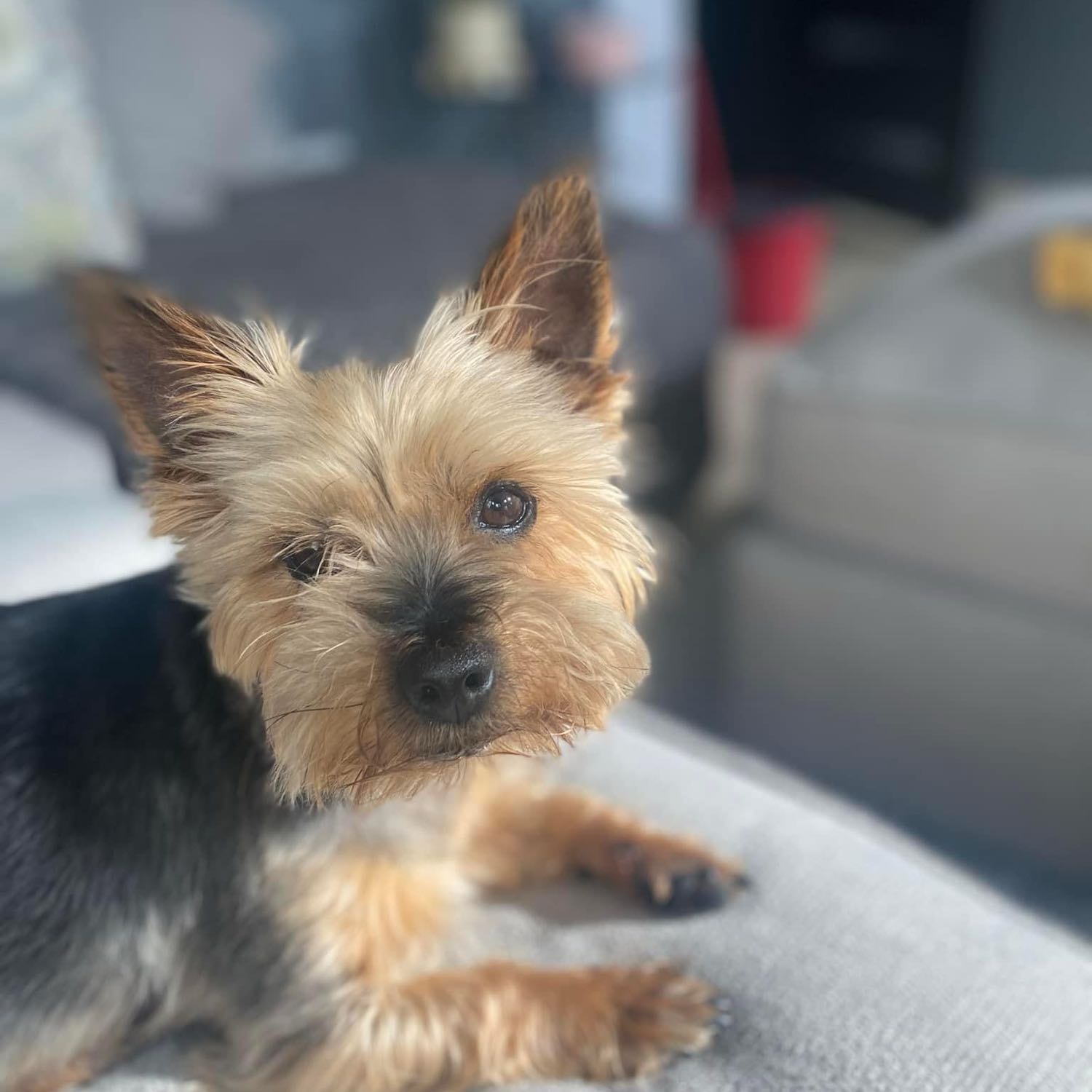 Coco