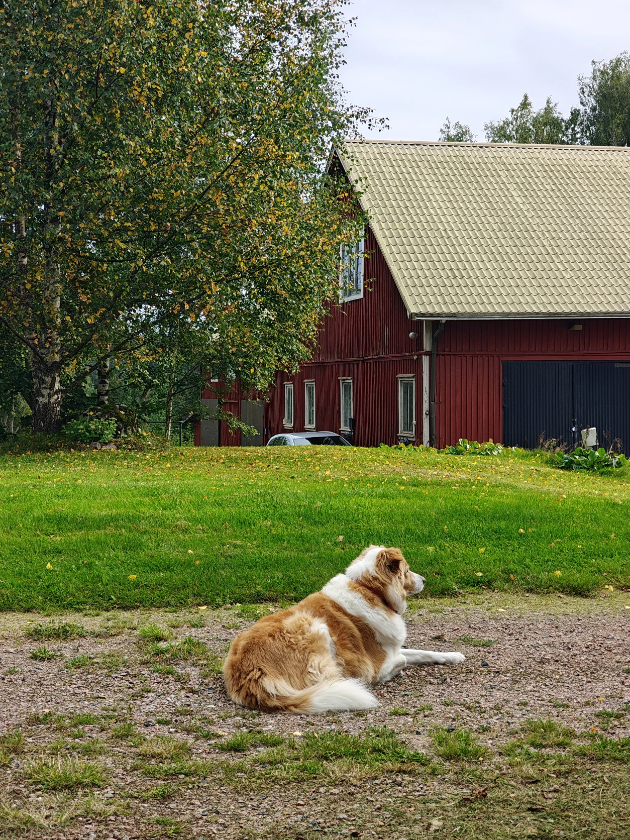 image-15