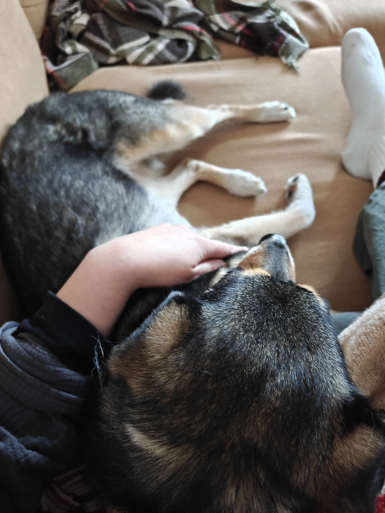 image-5