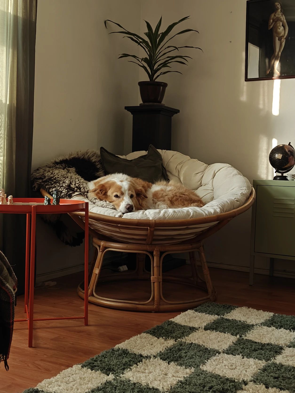 image-9