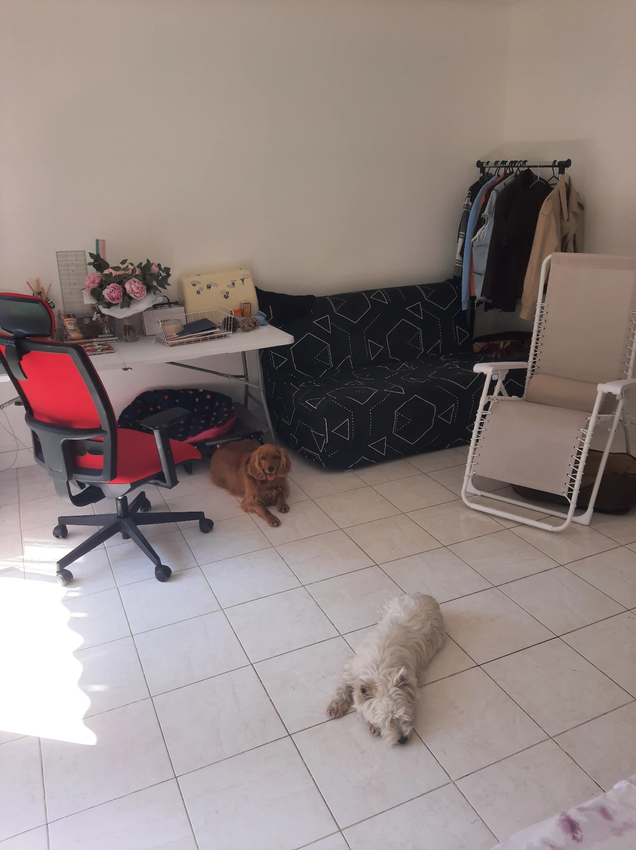 image-18
