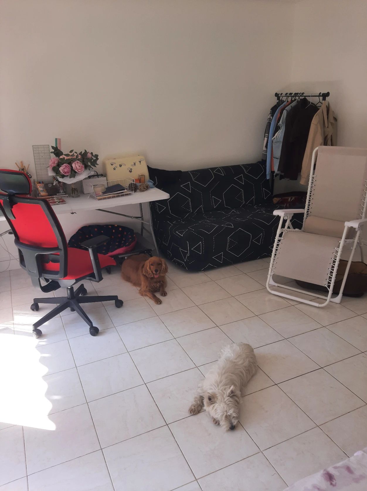 image-18
