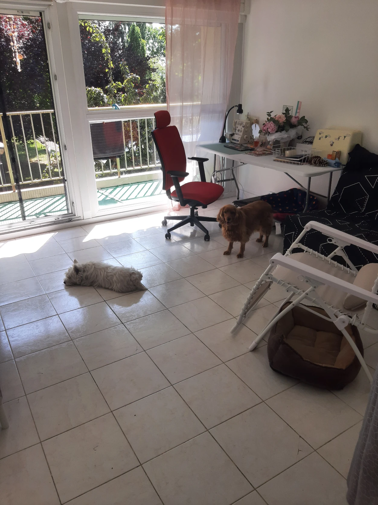 image-17