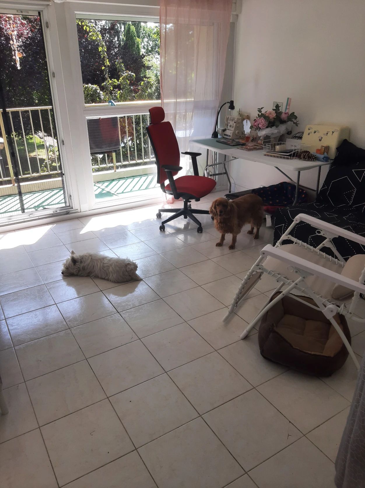 image-17