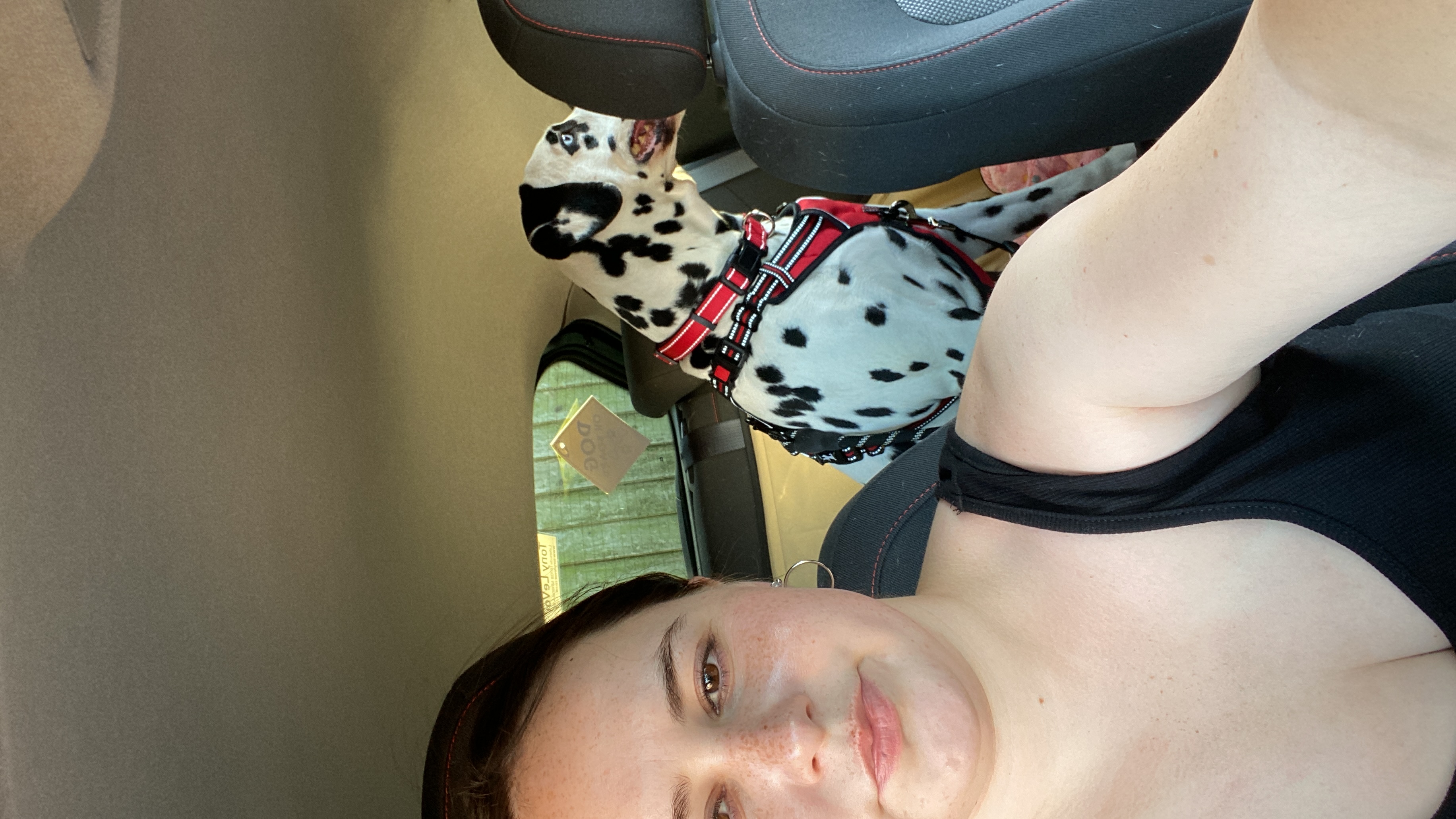 image-6