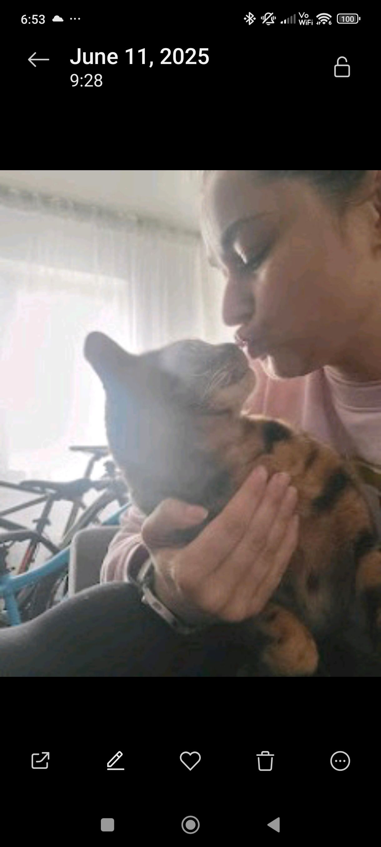 image-6