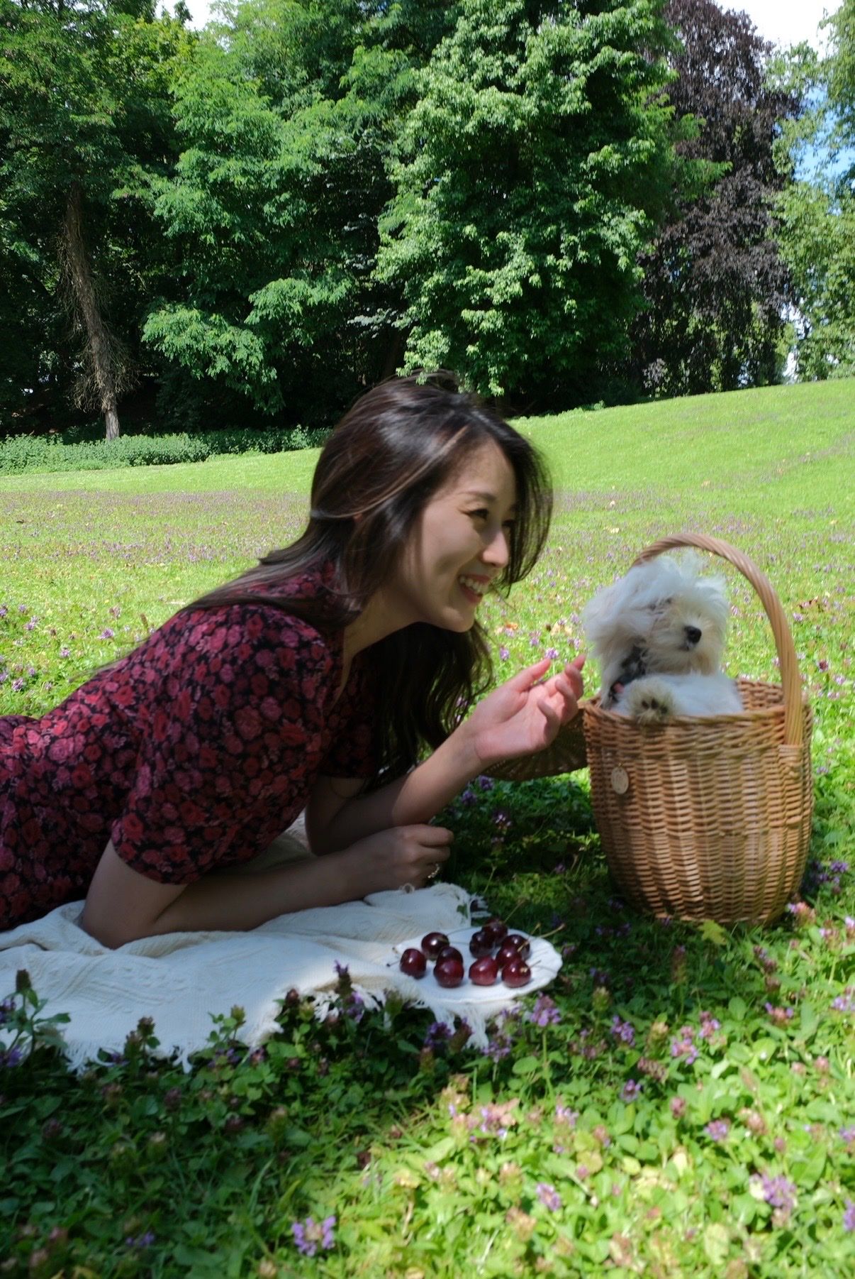 image-4