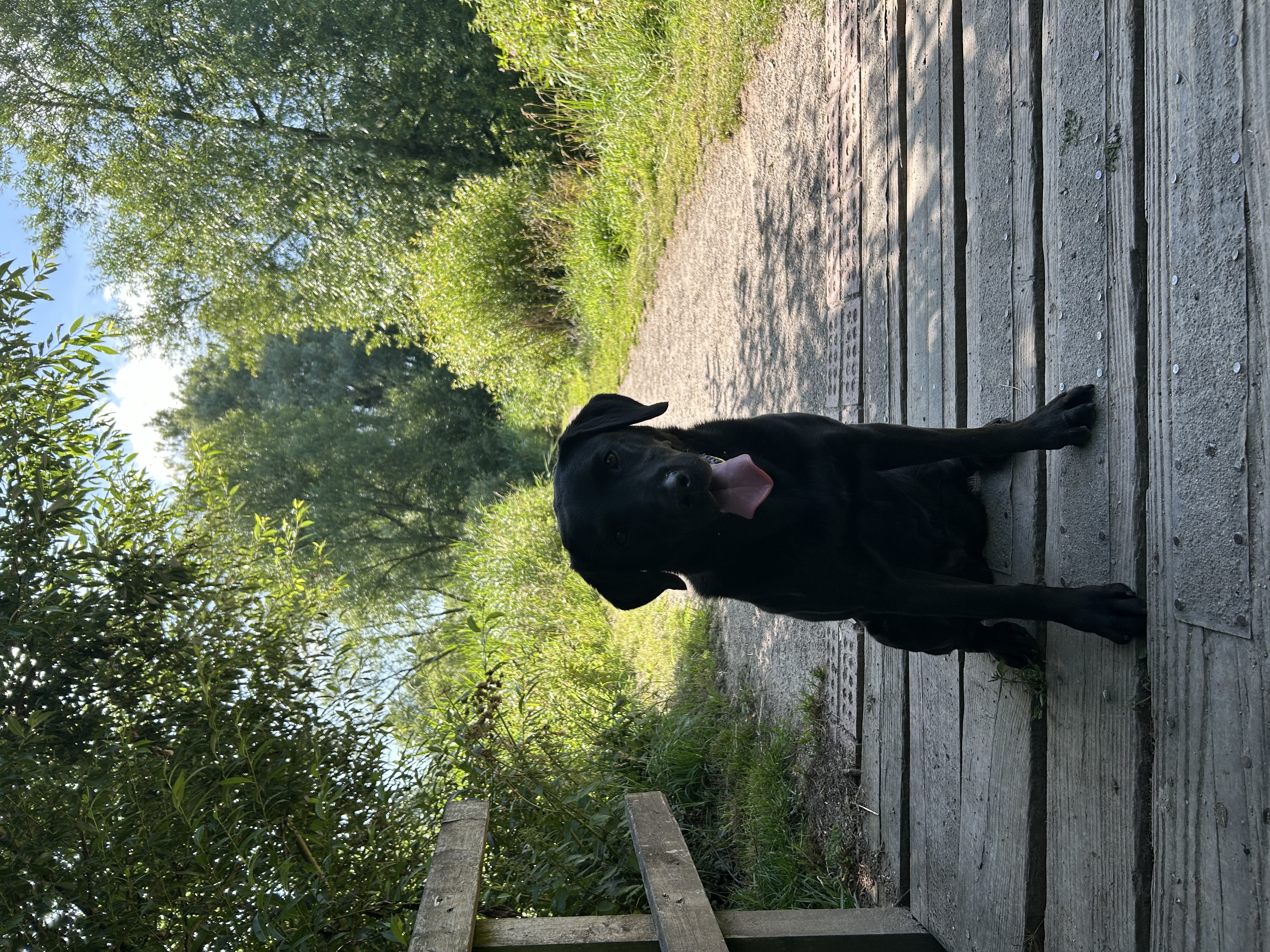 image-9