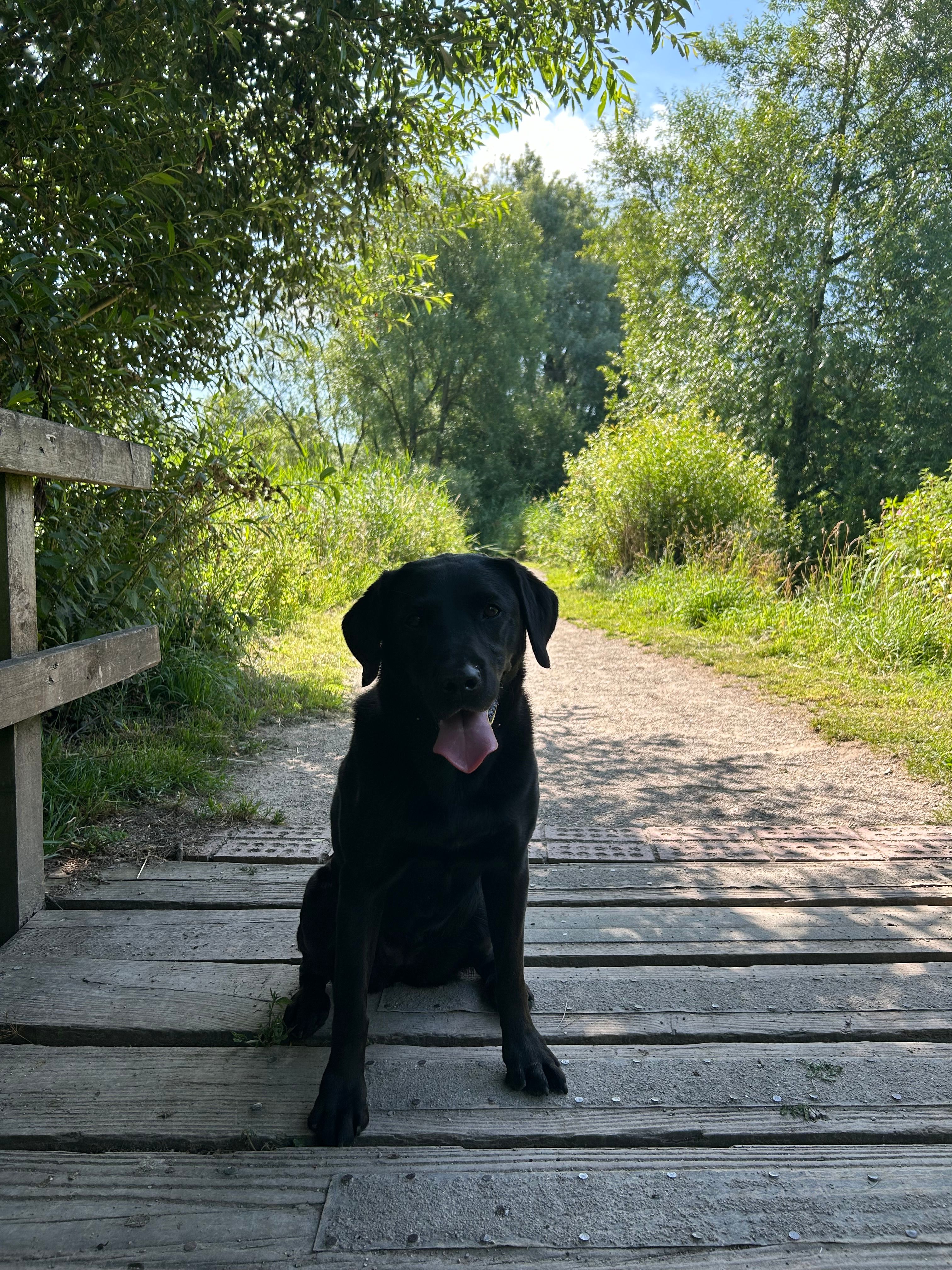 image-9