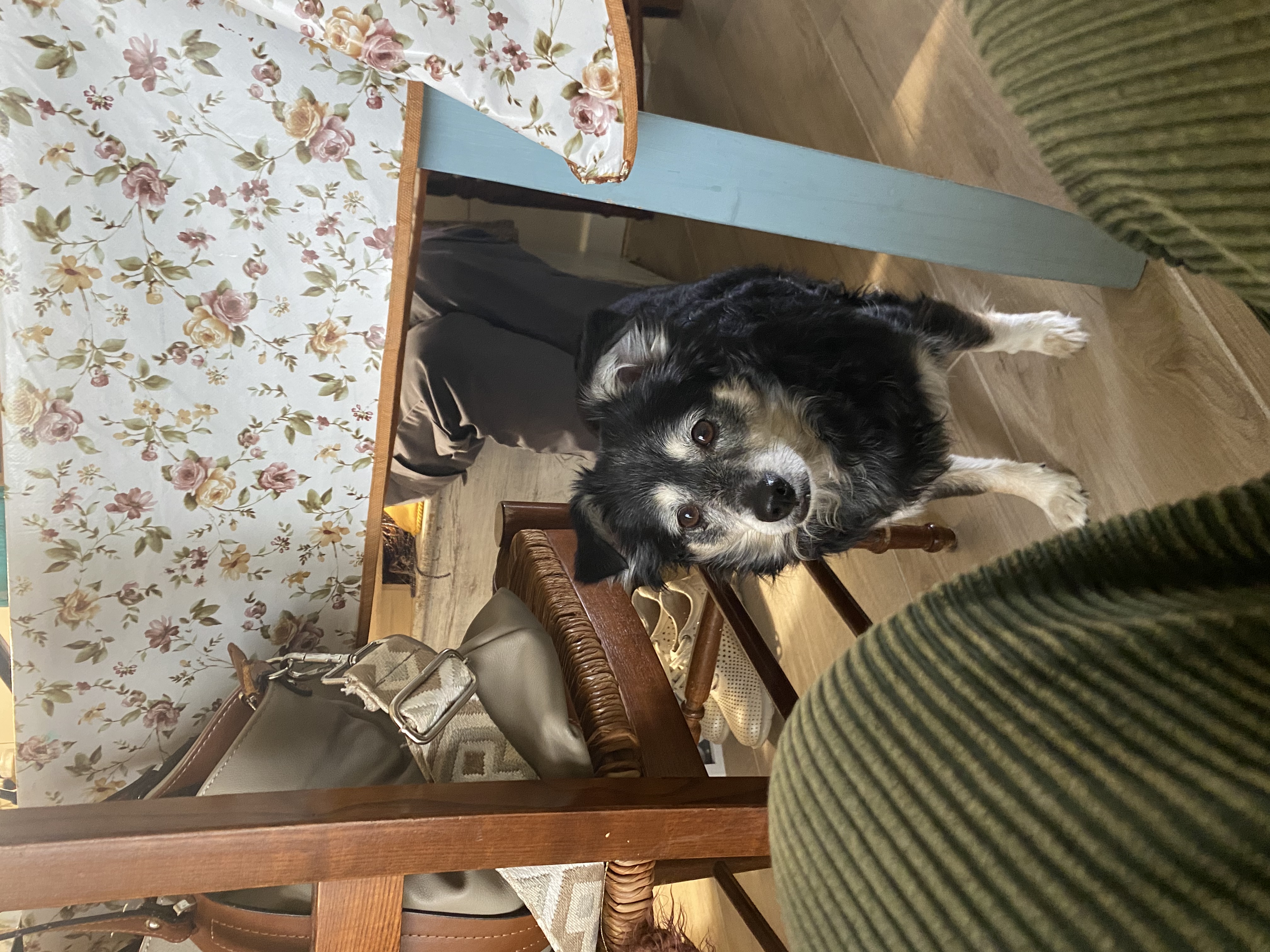 image-15