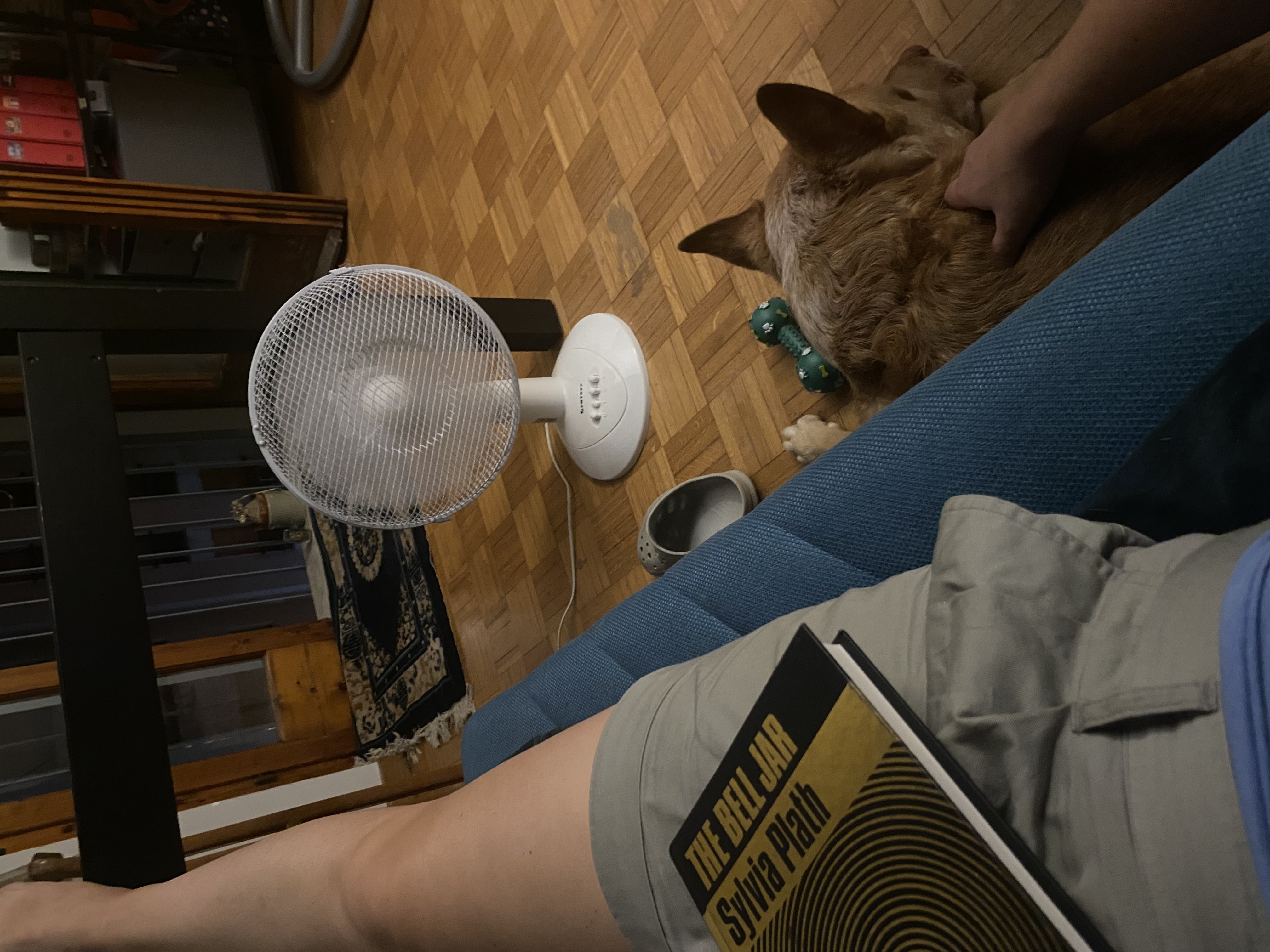 image-7