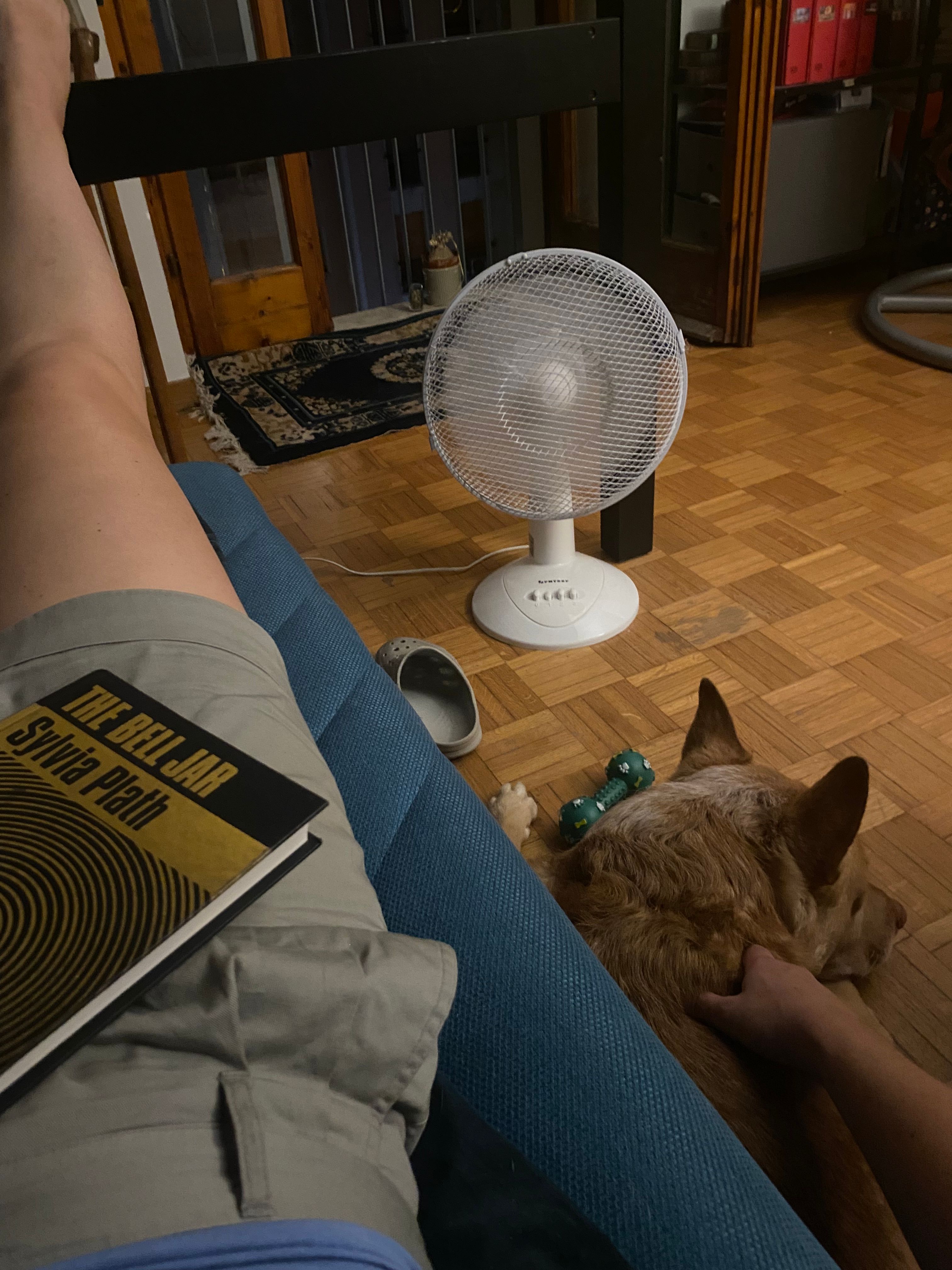 image-7