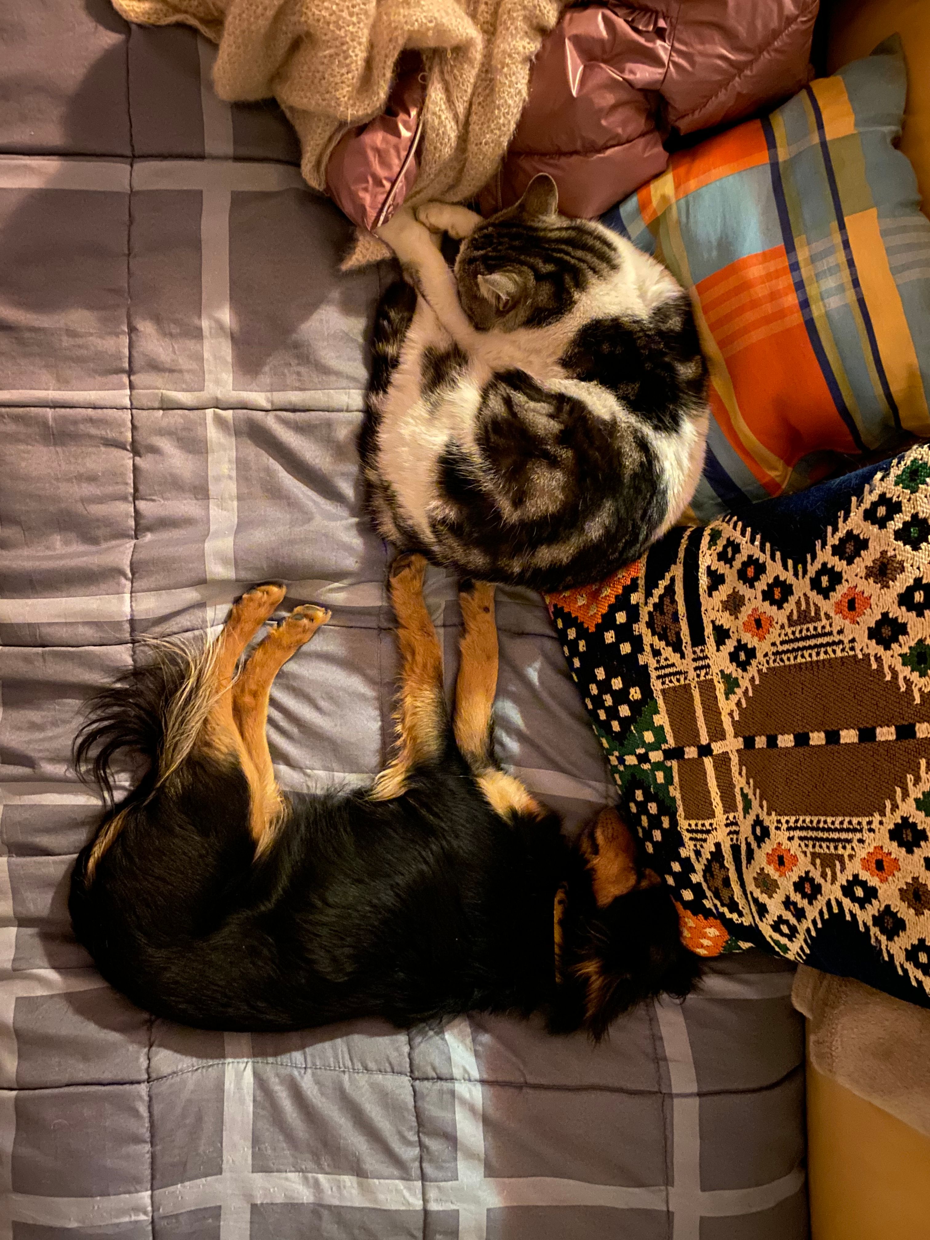 image-8