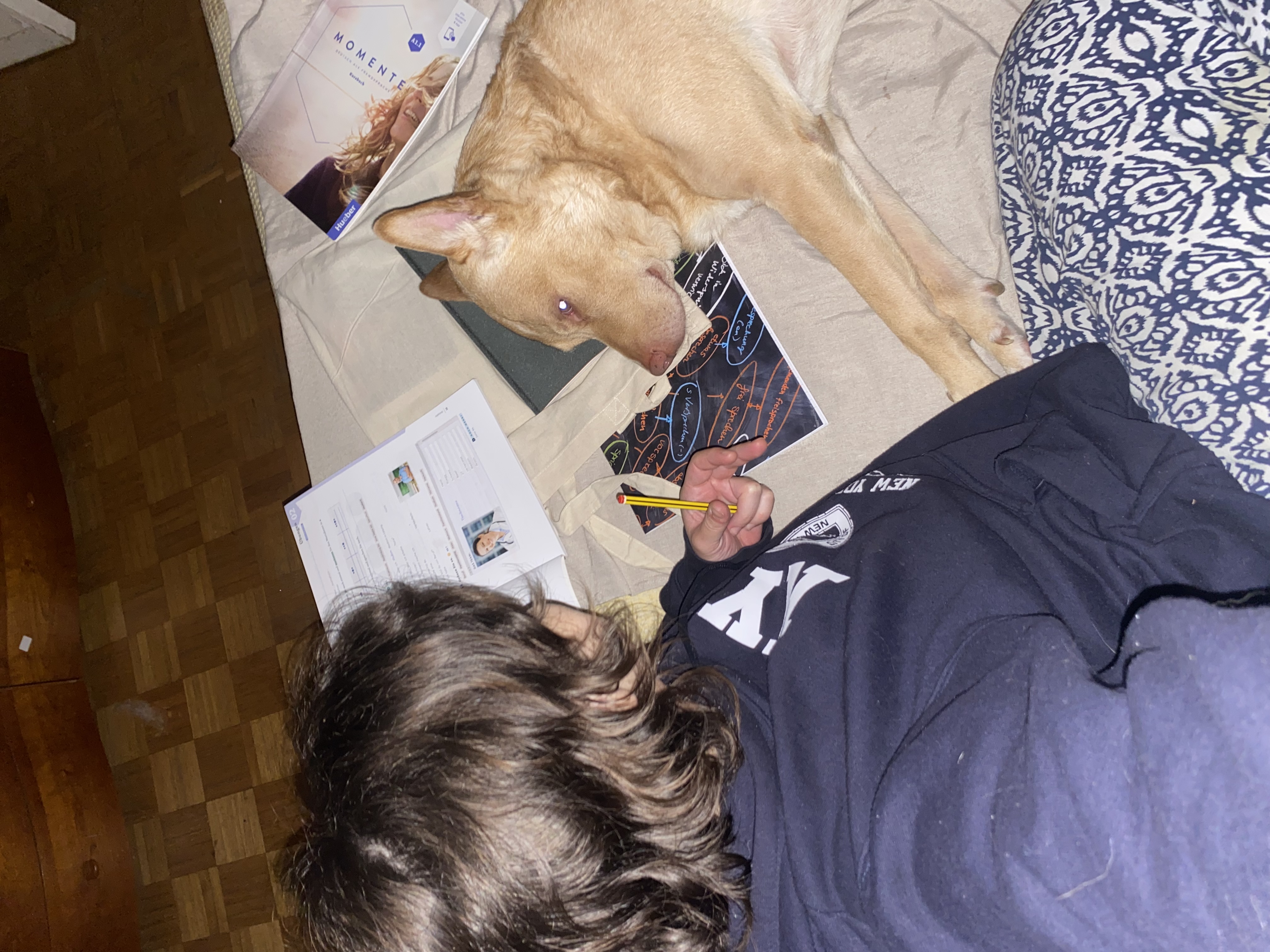 image-6