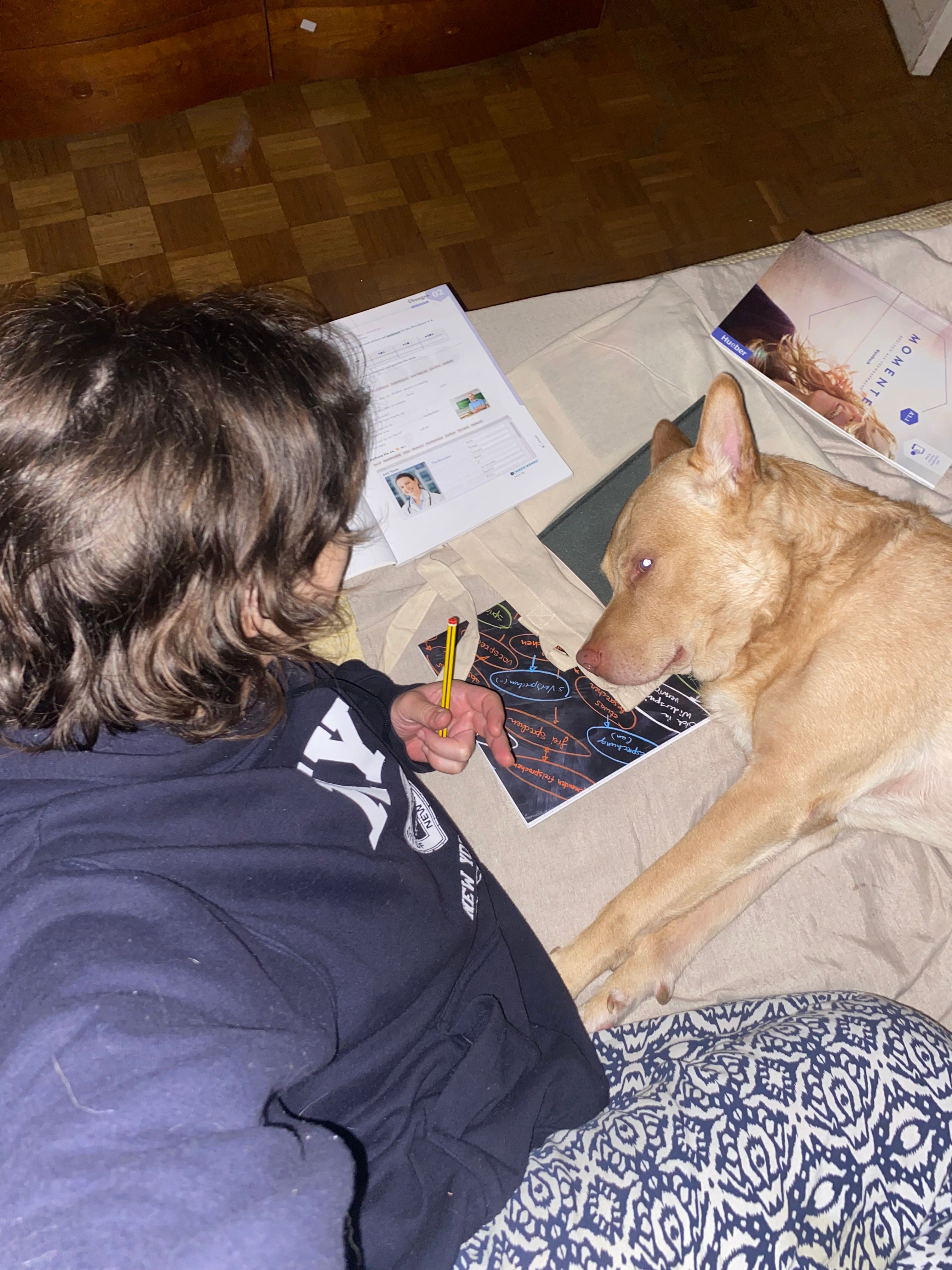 image-6