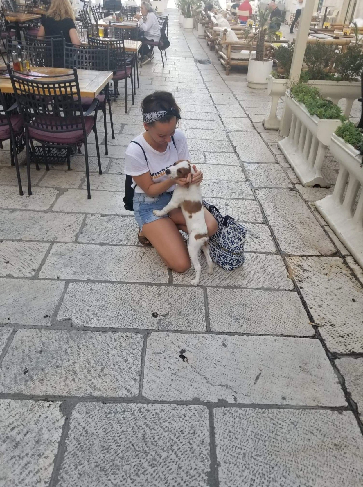 image-5