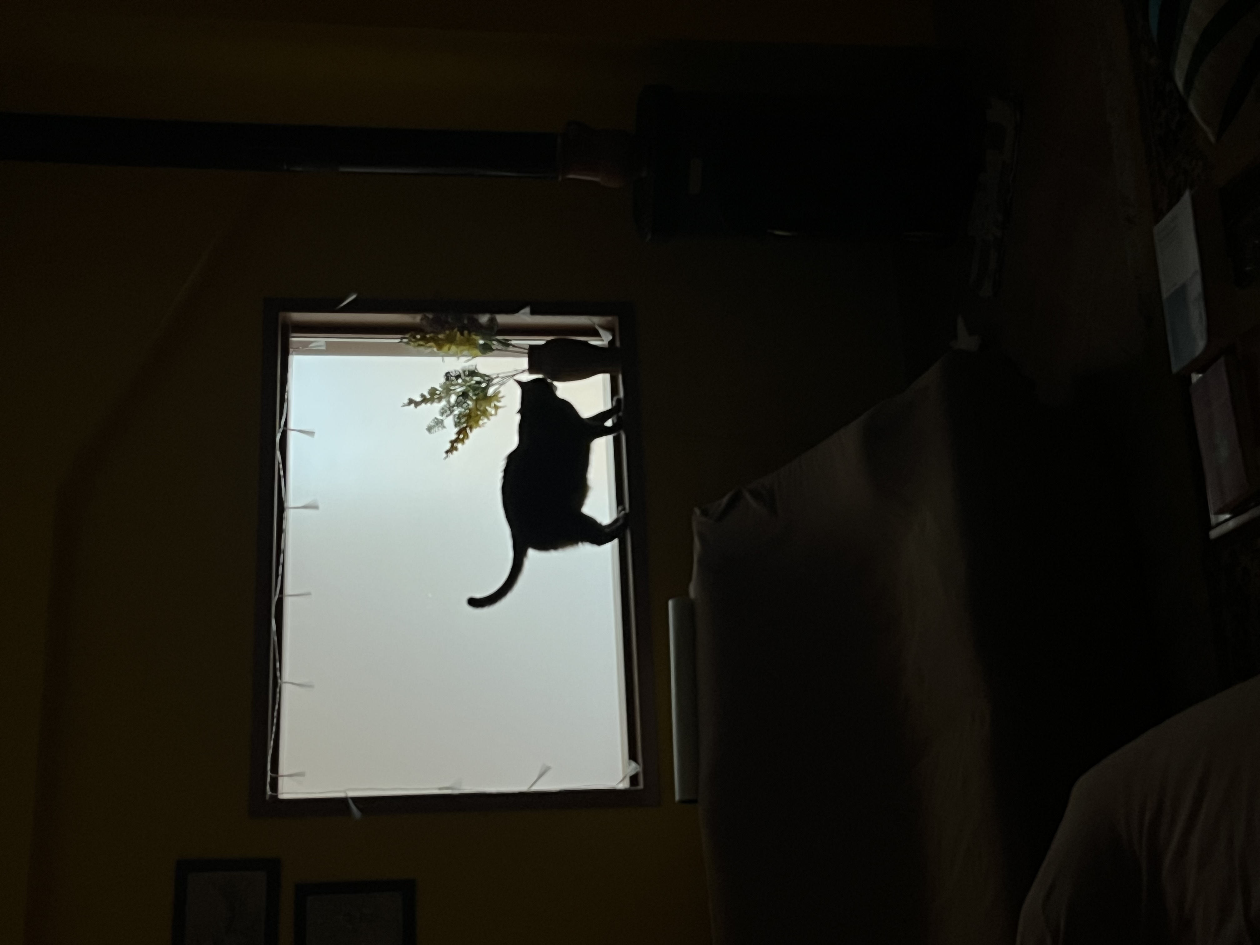 image-9