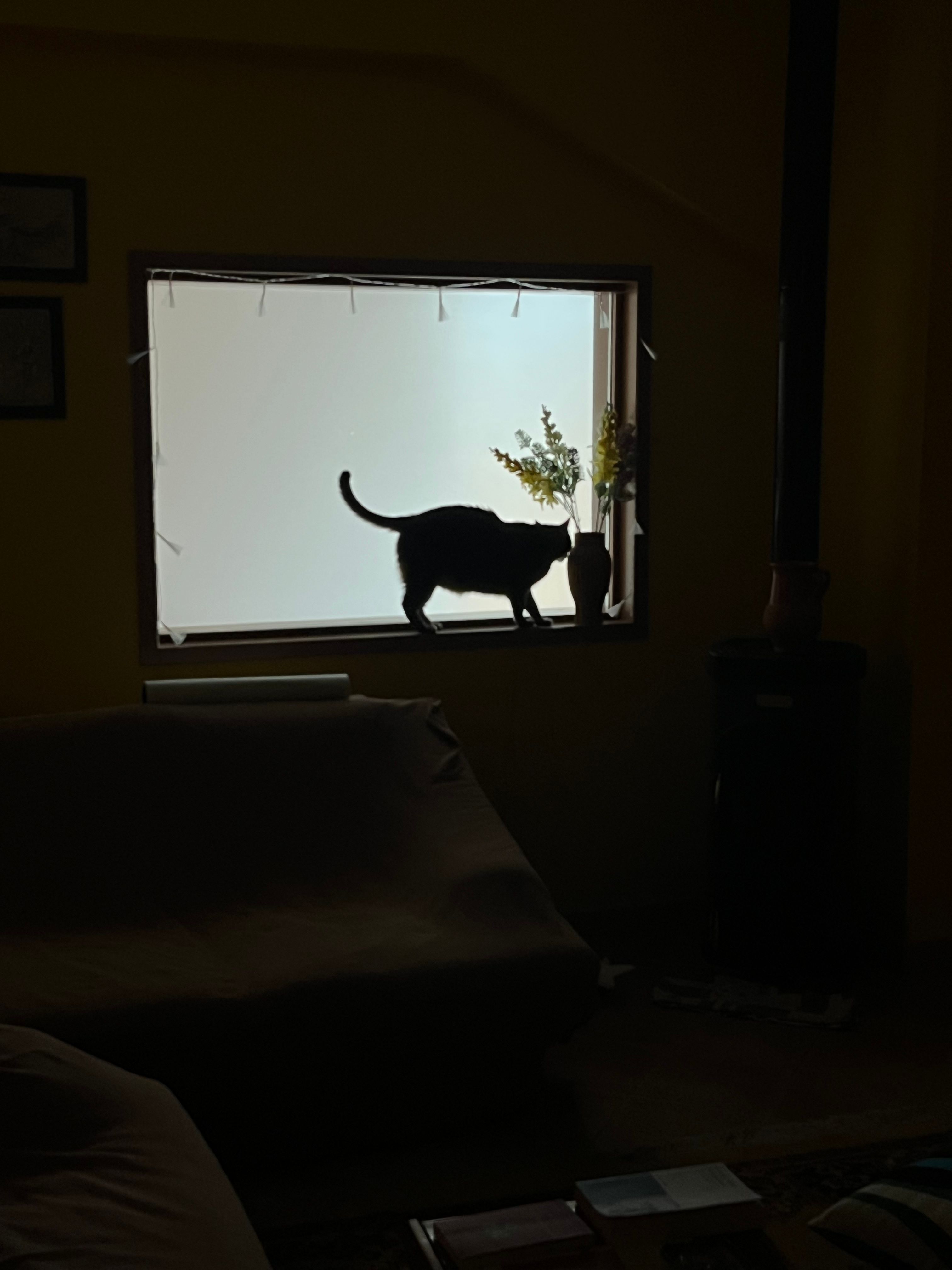 image-9