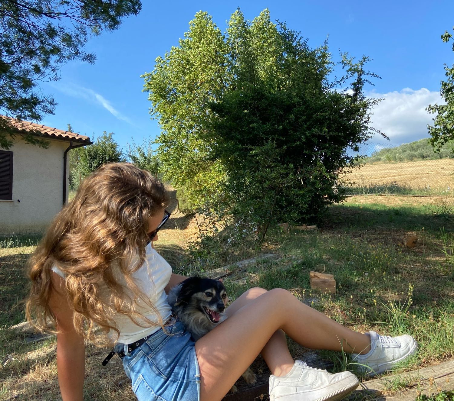 image-6