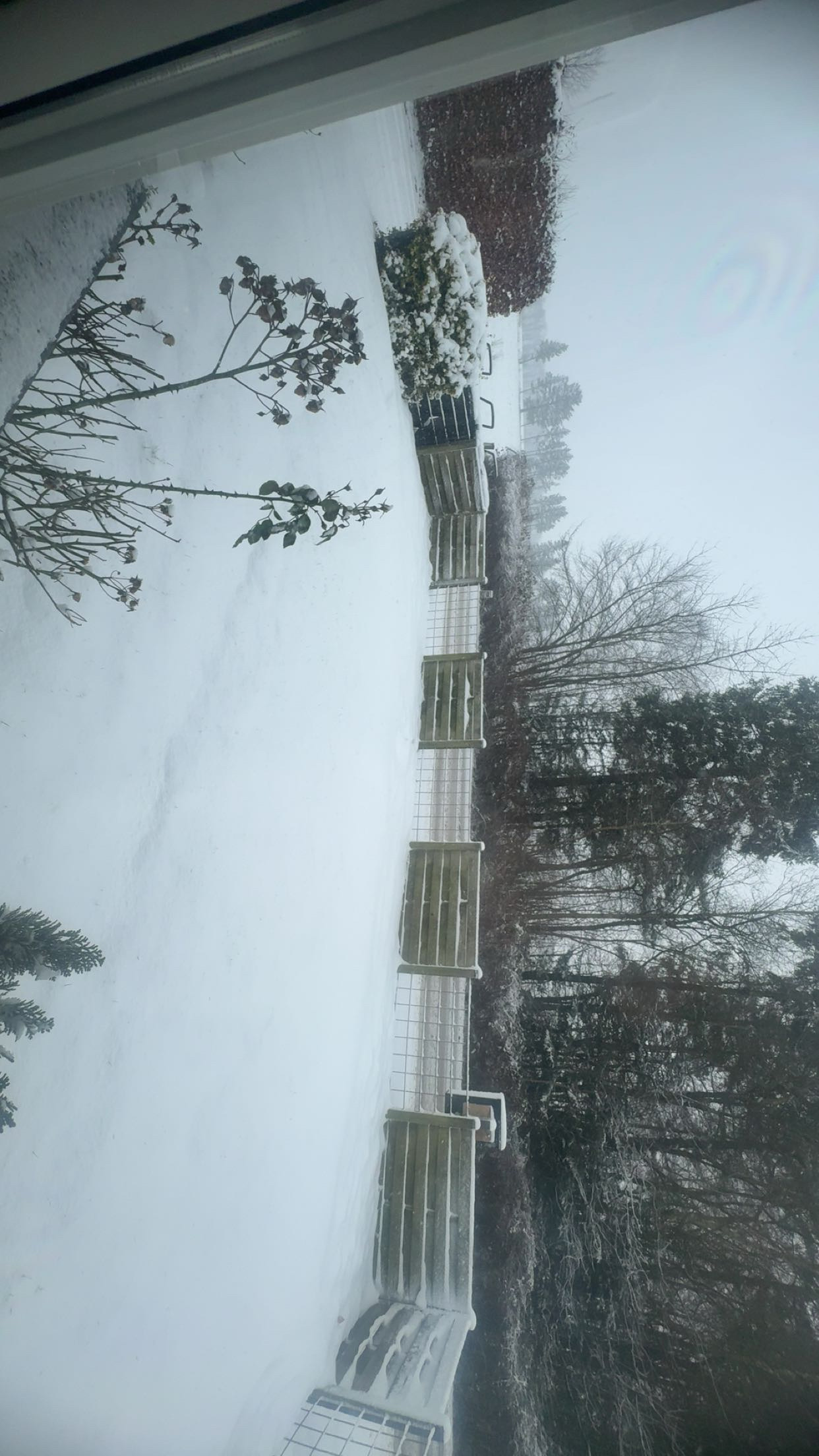 image-14