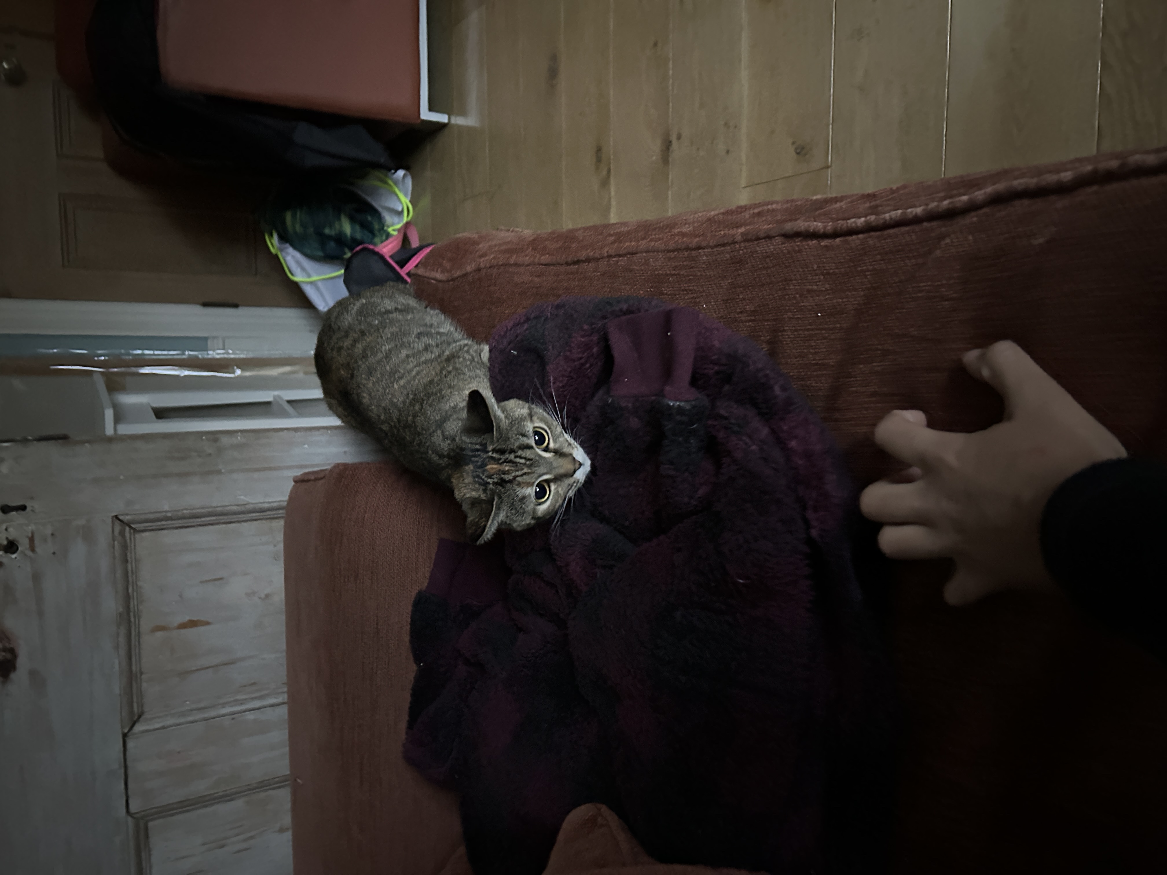 image-9