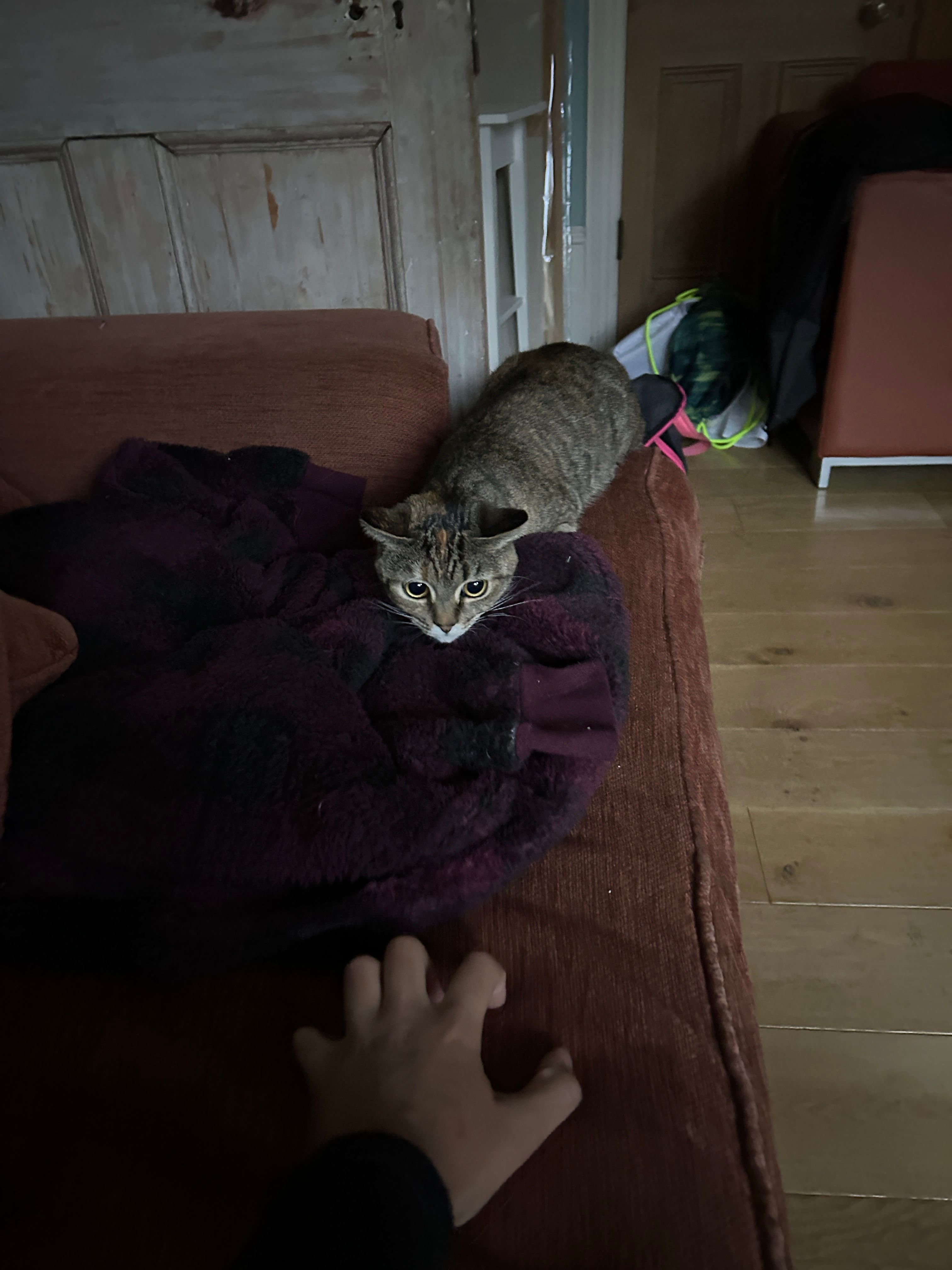 image-9