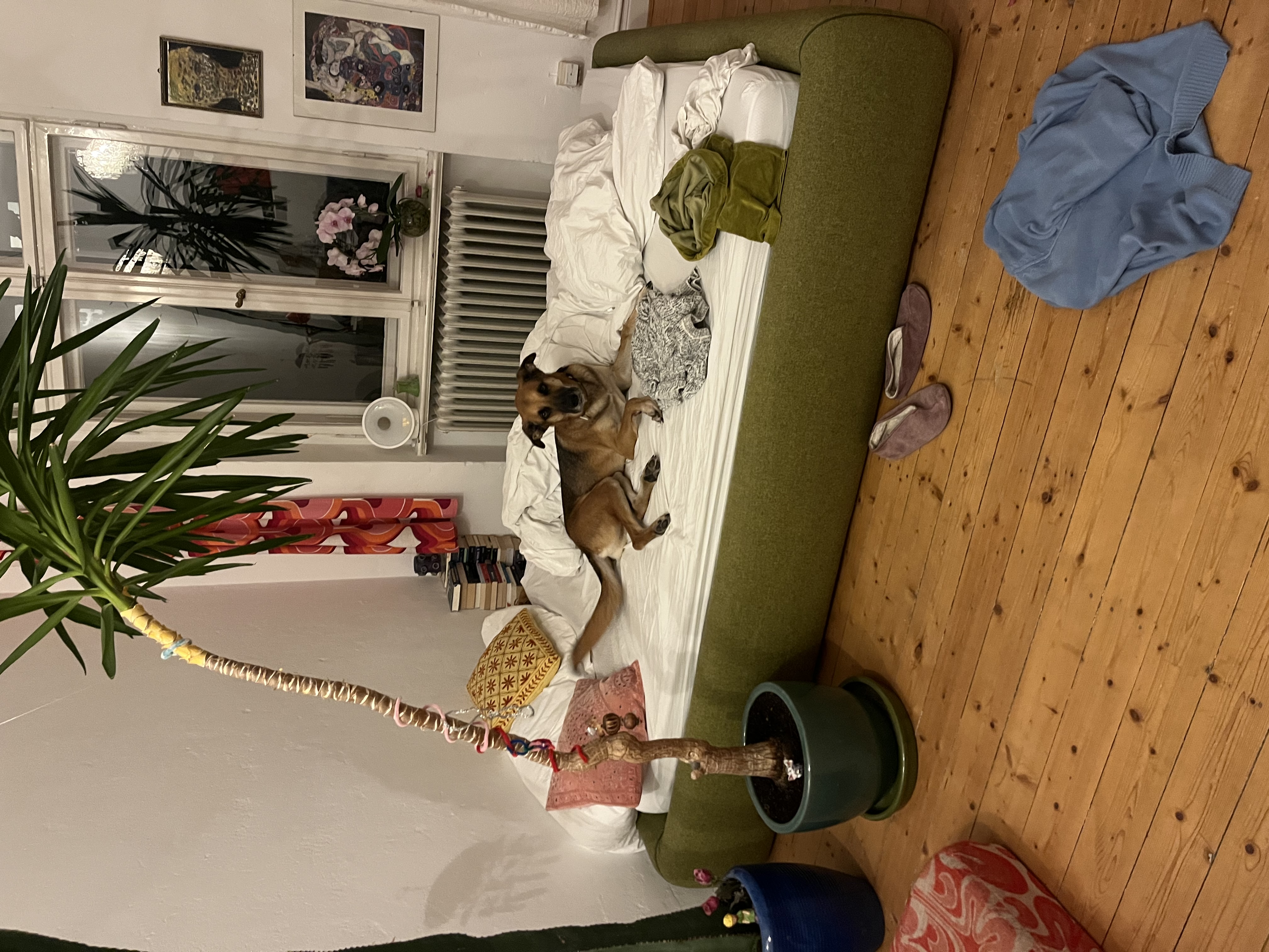 image-17