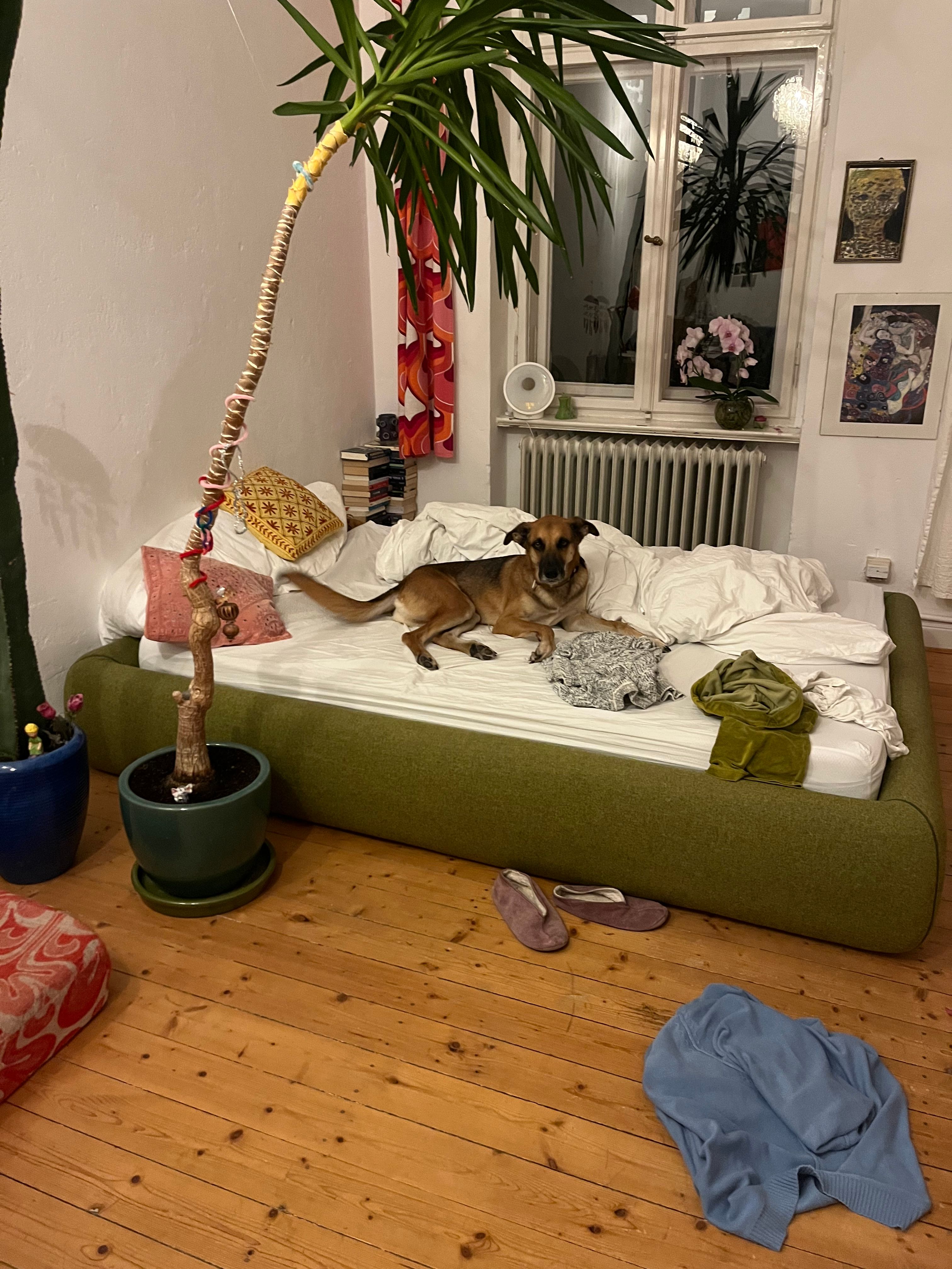image-17