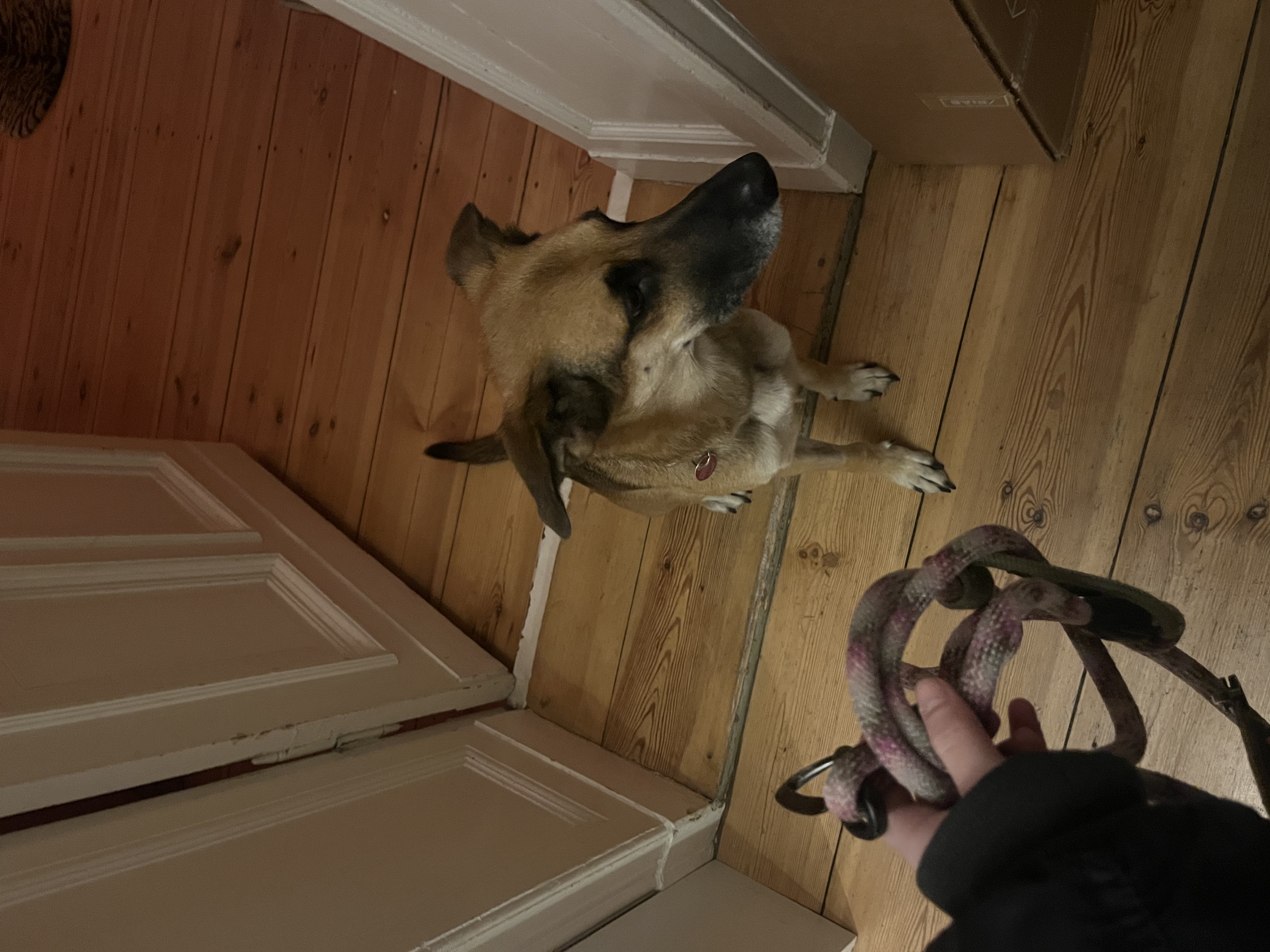 image-6